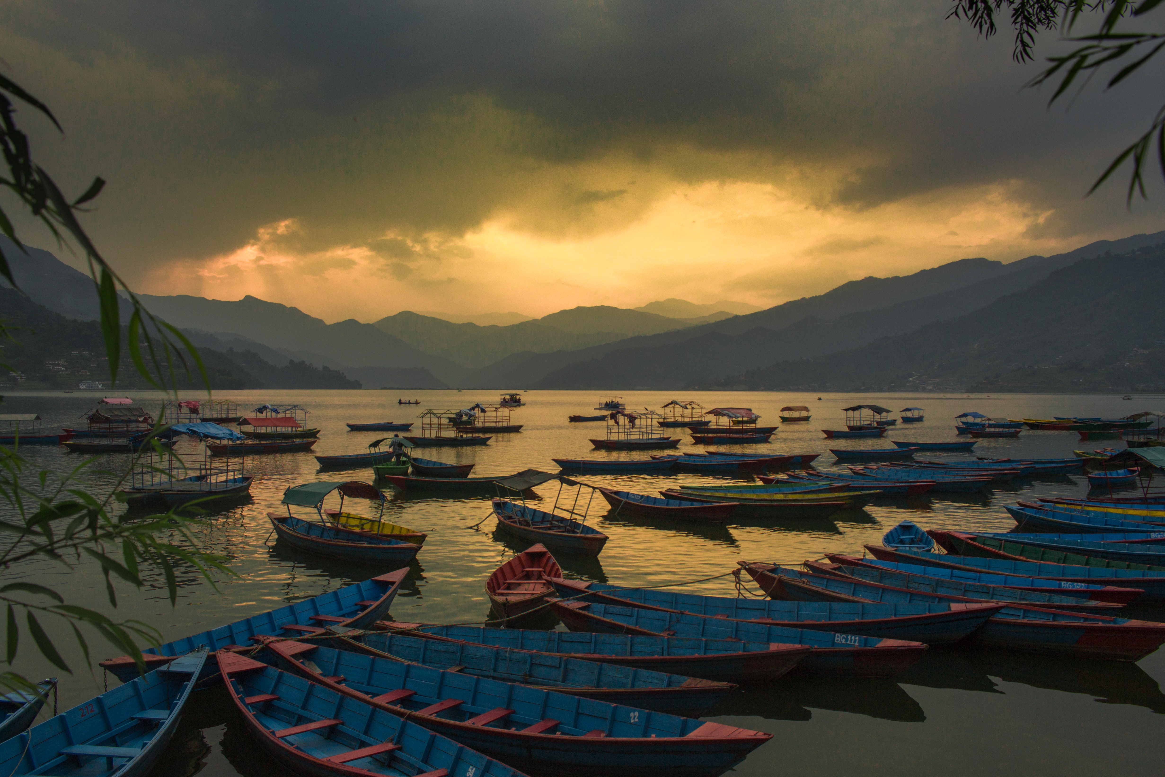 Fewa taal1
