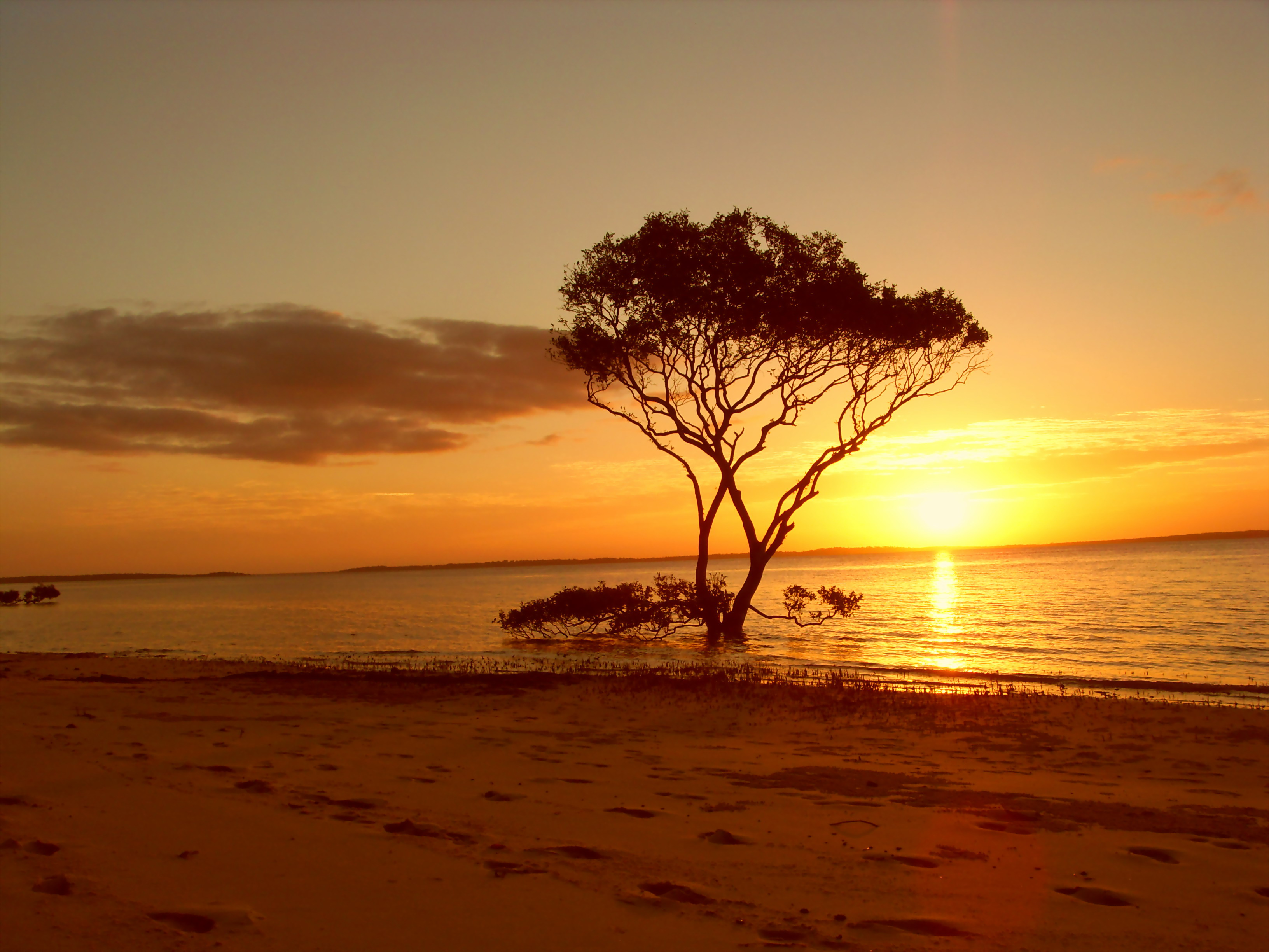 Fraser Island Sunset - panoramio (1)