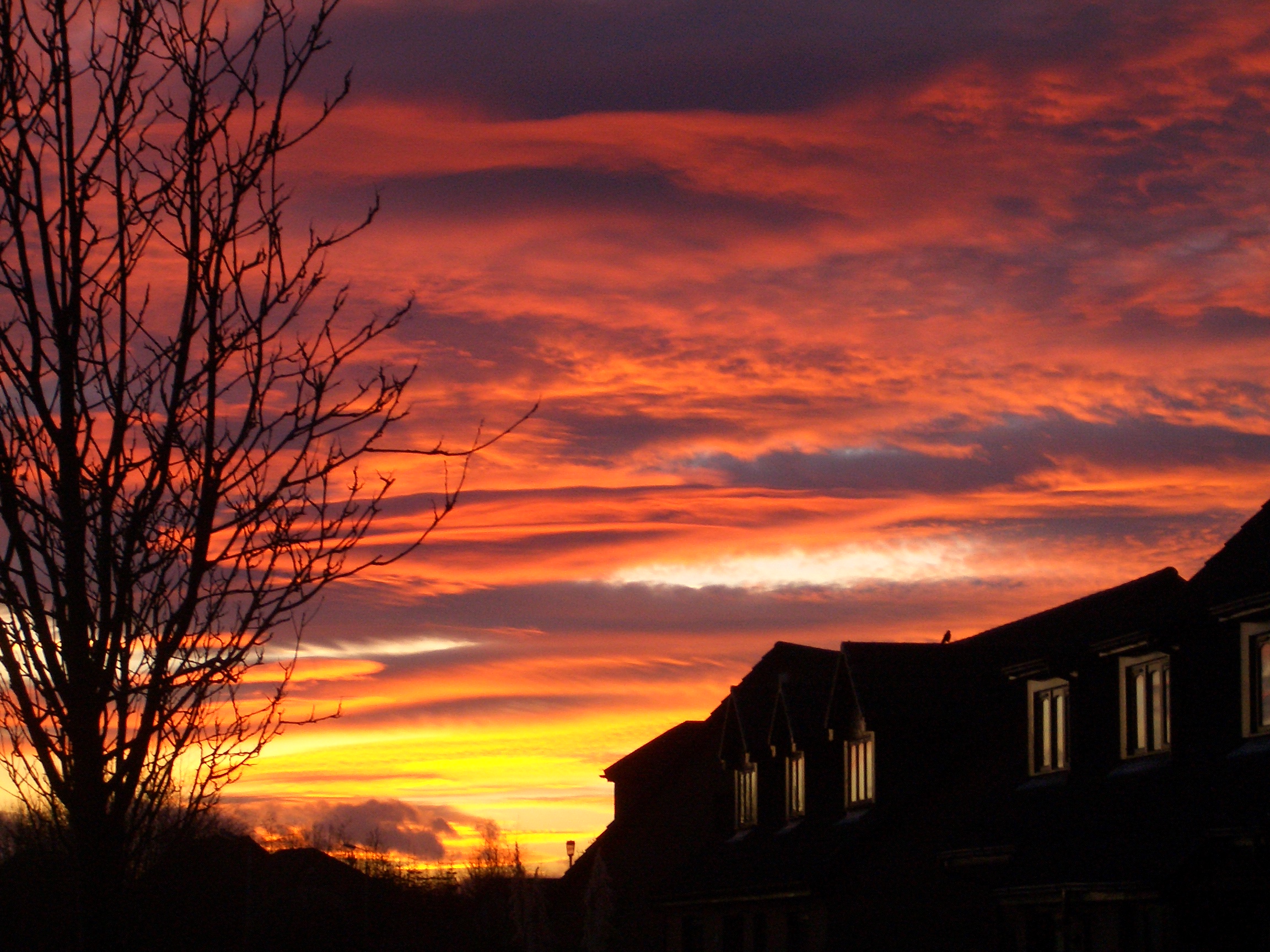 Glowing Sunset