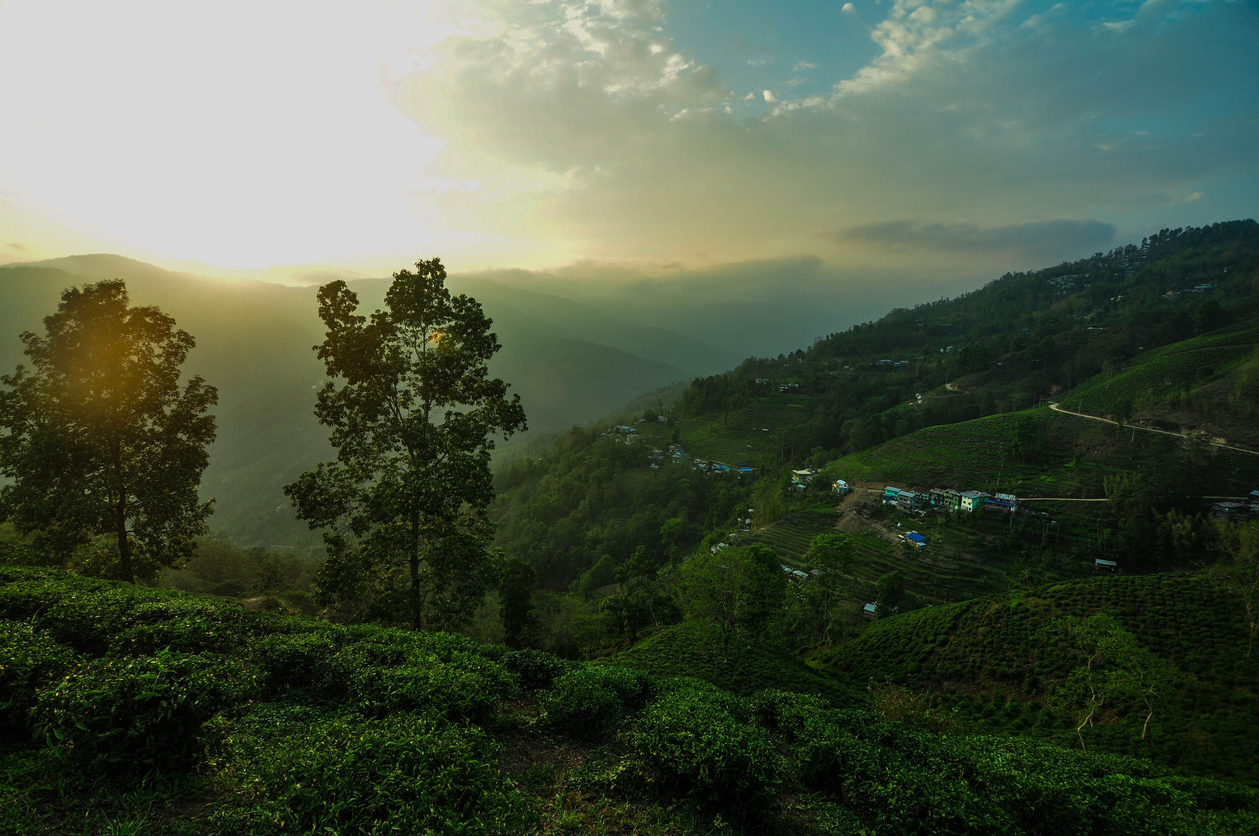 Golden evenings at ilam7