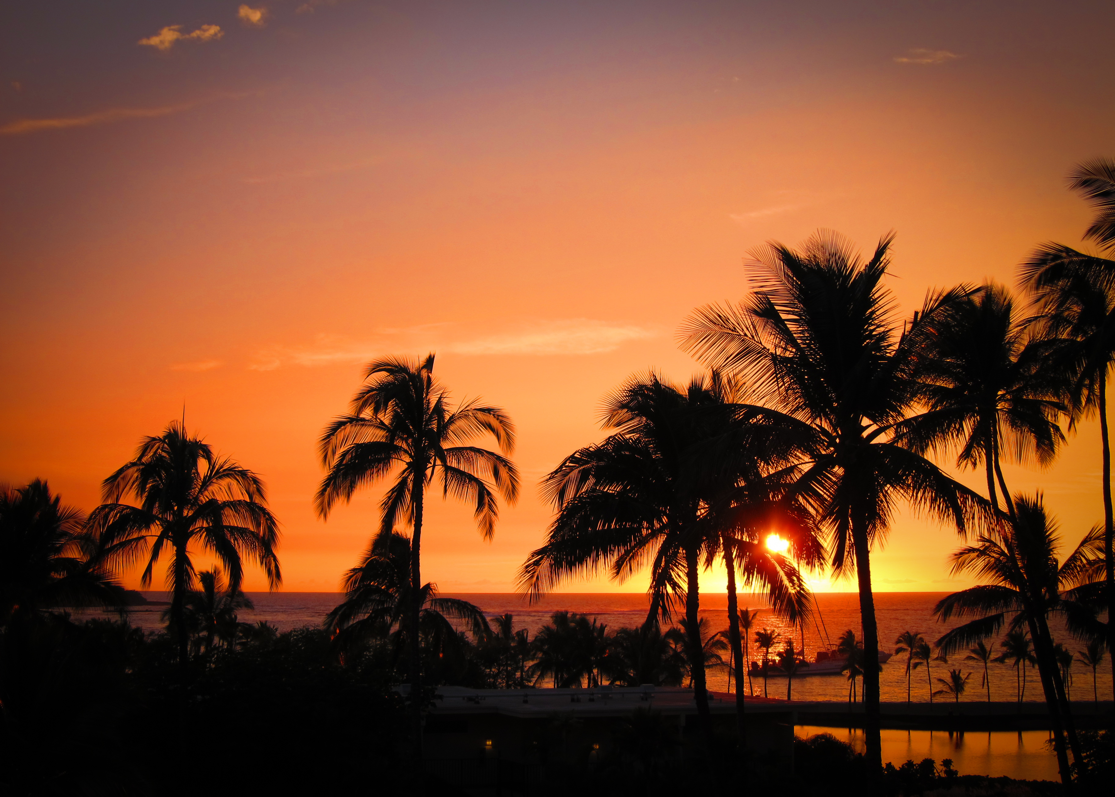 Hawaii at Sunset with Palm Trees (5495739231)