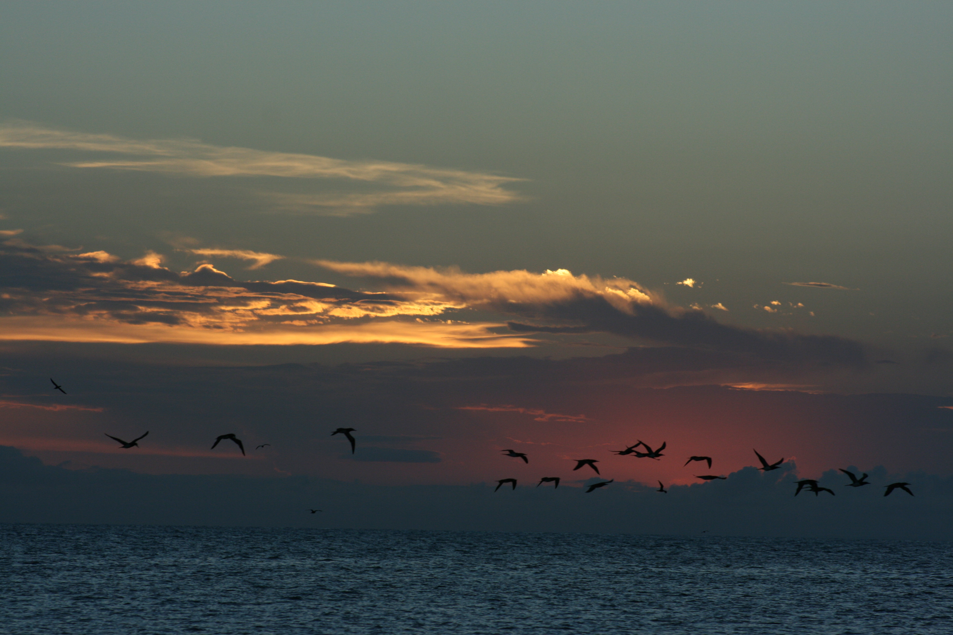 Lady Musgrave Island sunset - panoramio - gary4now