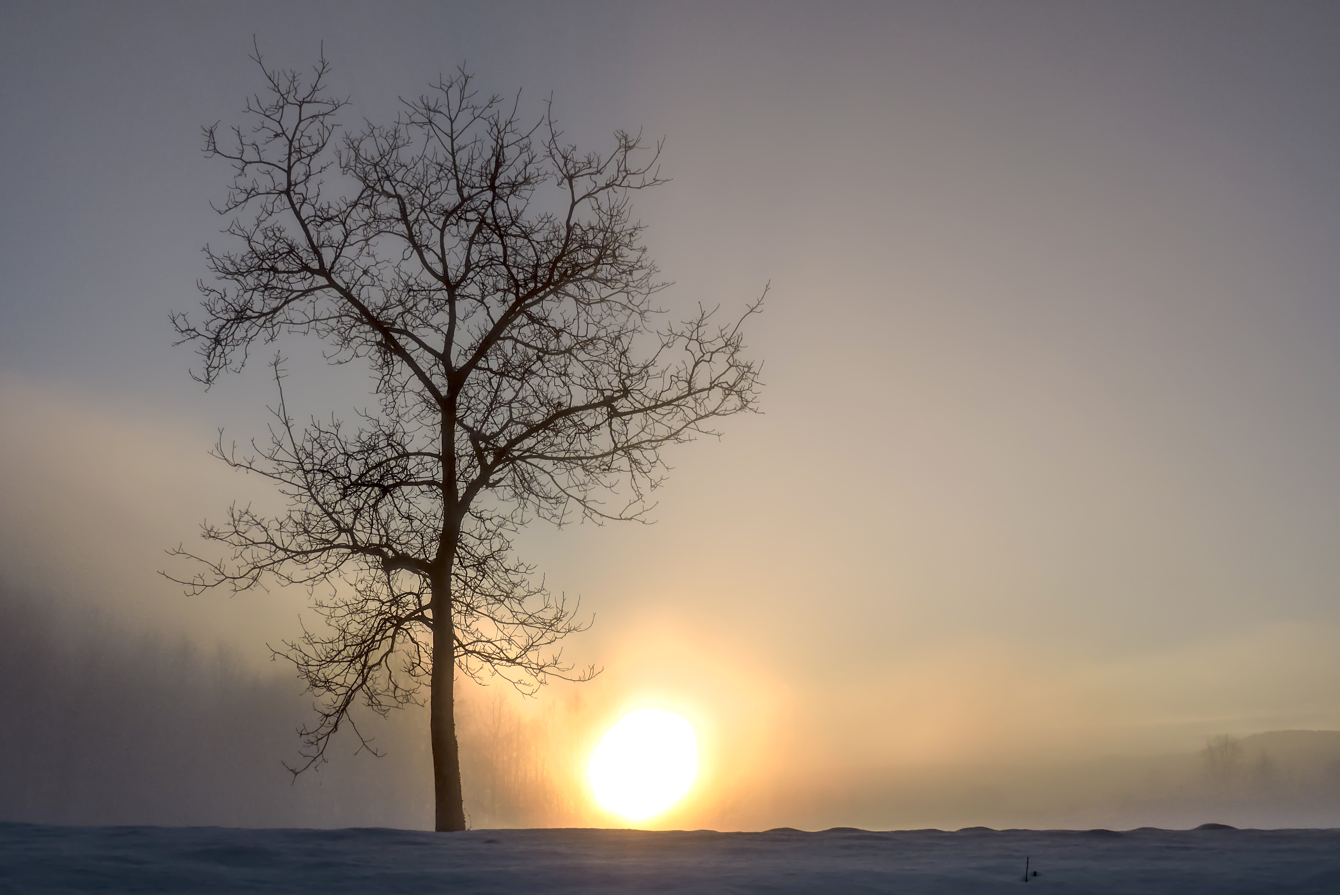 Lonely sunset (32243151231)