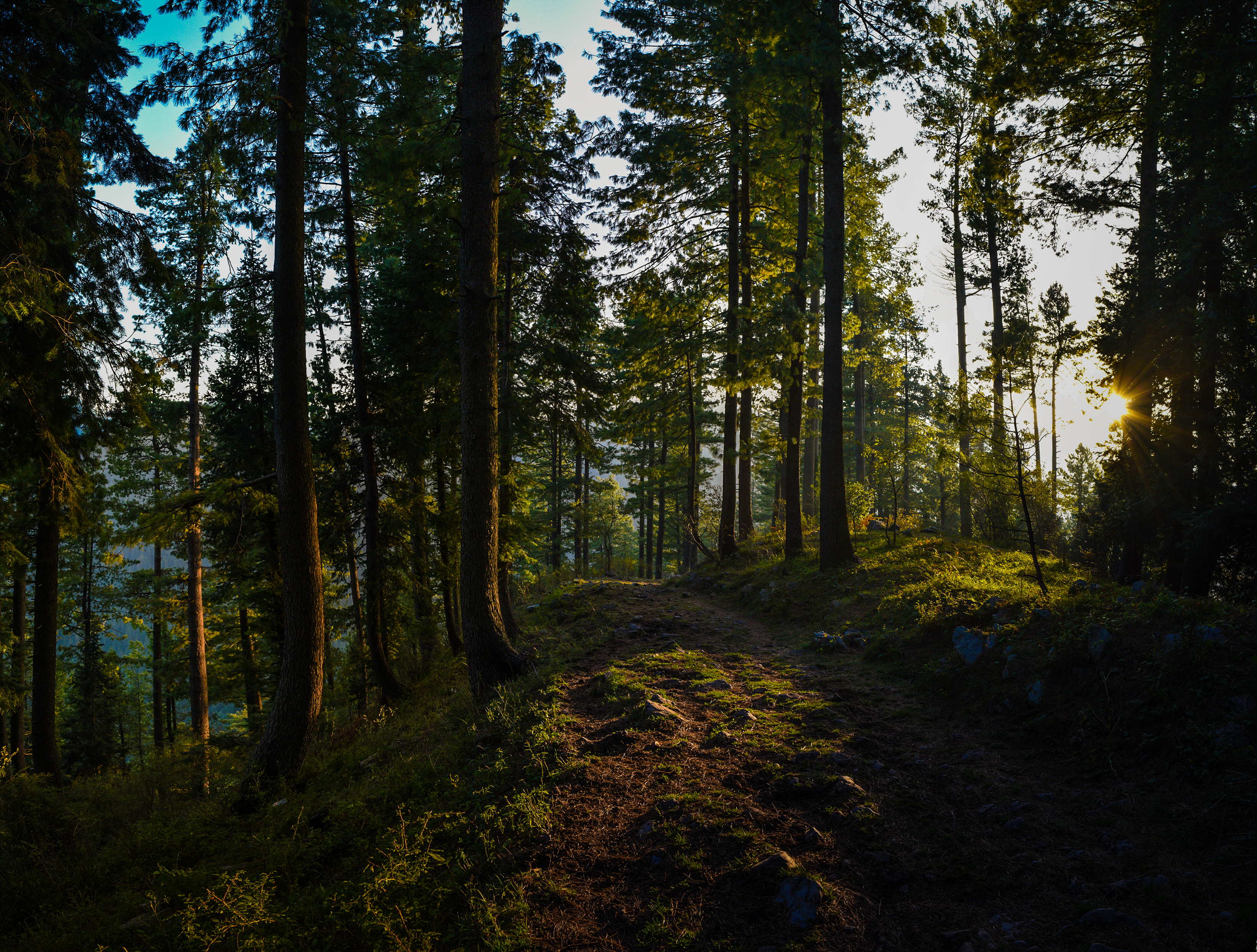 Miranjani Track