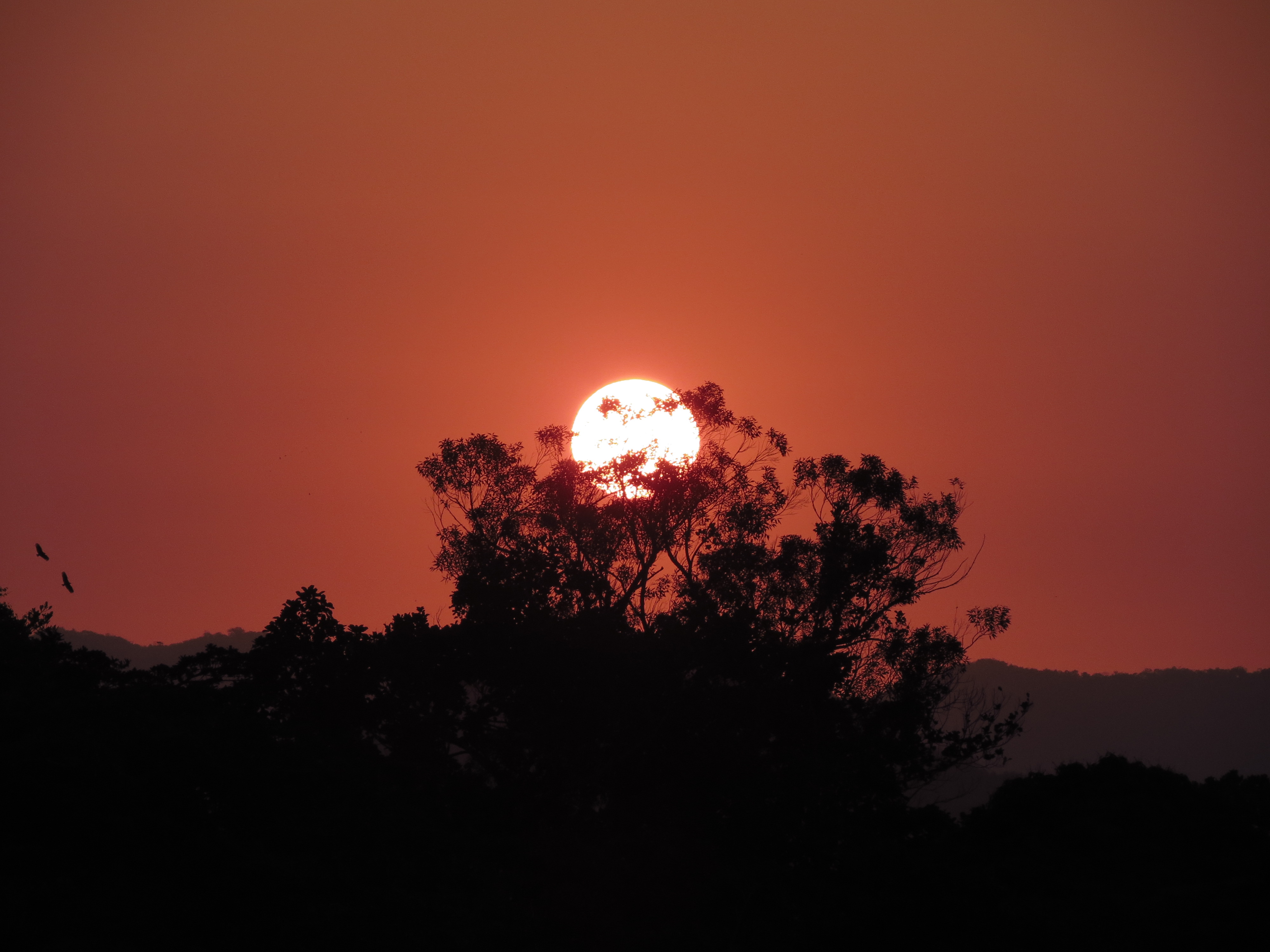 Nascer do Sol na 