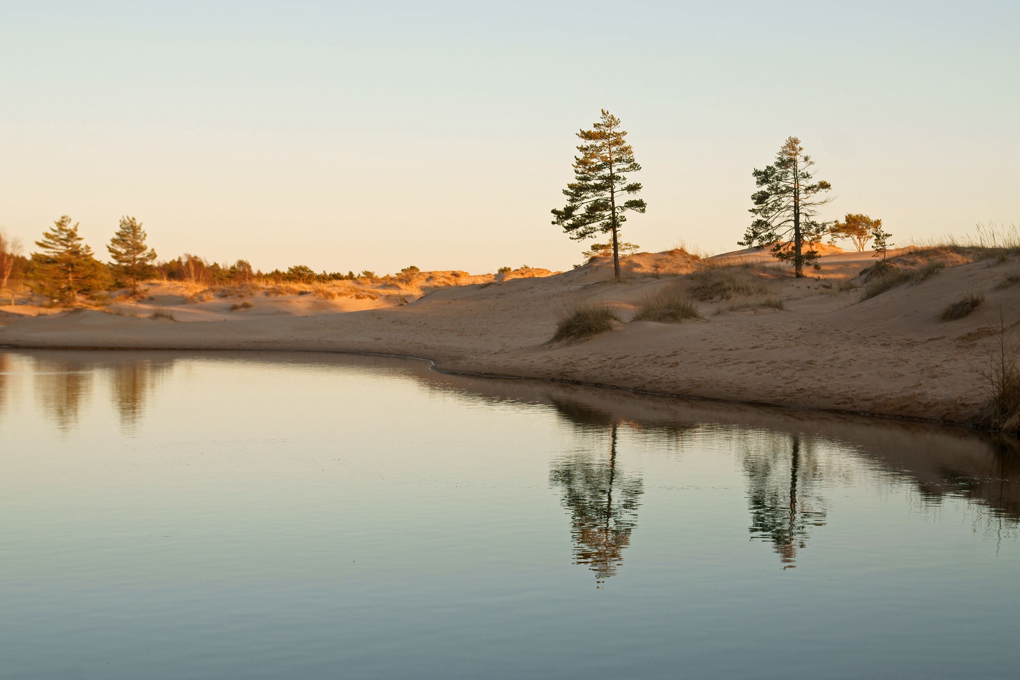 Pond in Yyteri 1