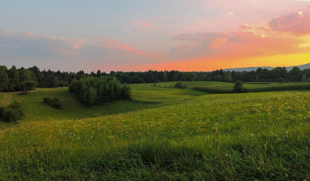A warm autumn evening (22961468119)