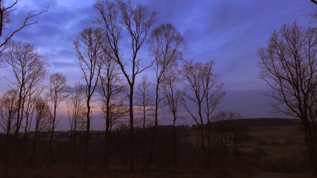 Abenddämmerung auf dem Hügel -12.3.2011 - panoramio (1)