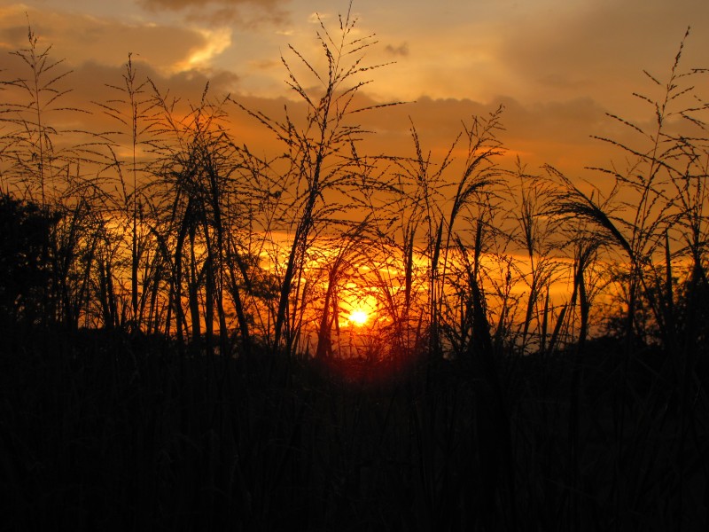 Agoniza la tarde.. - panoramio