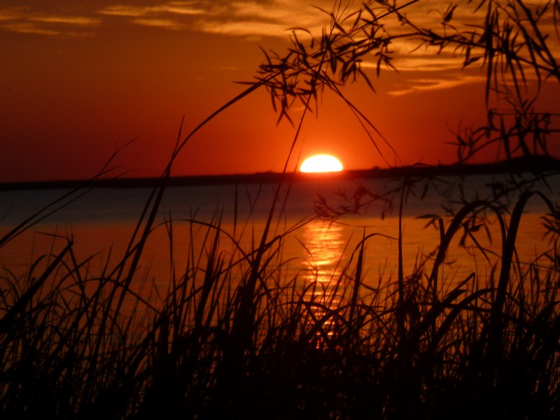 ATARDECER DEL IBERA 3