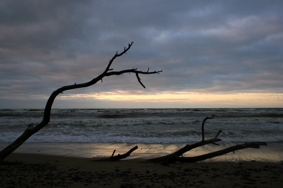 Baltic sea in November - panoramio