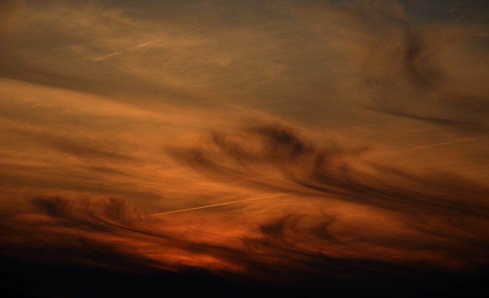Cirrus uncinus