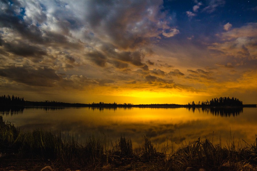 Elk Island Night Sky