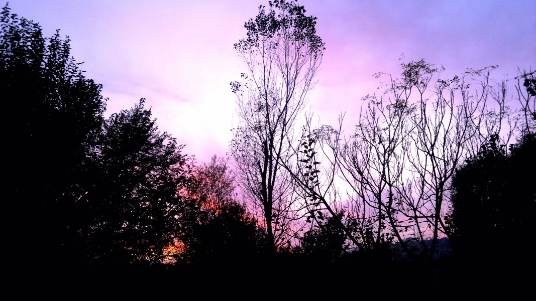 Evening colours