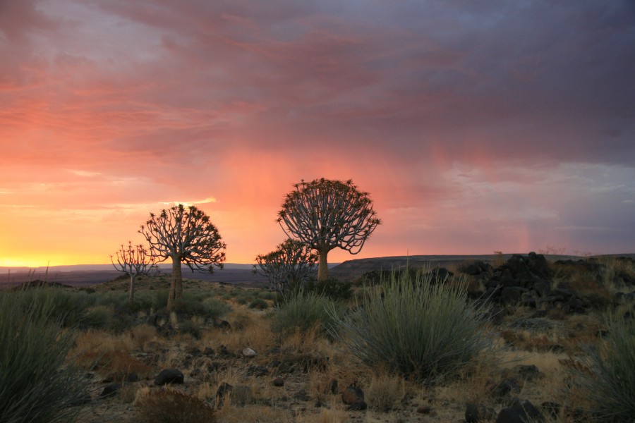 Exceptional Sunset