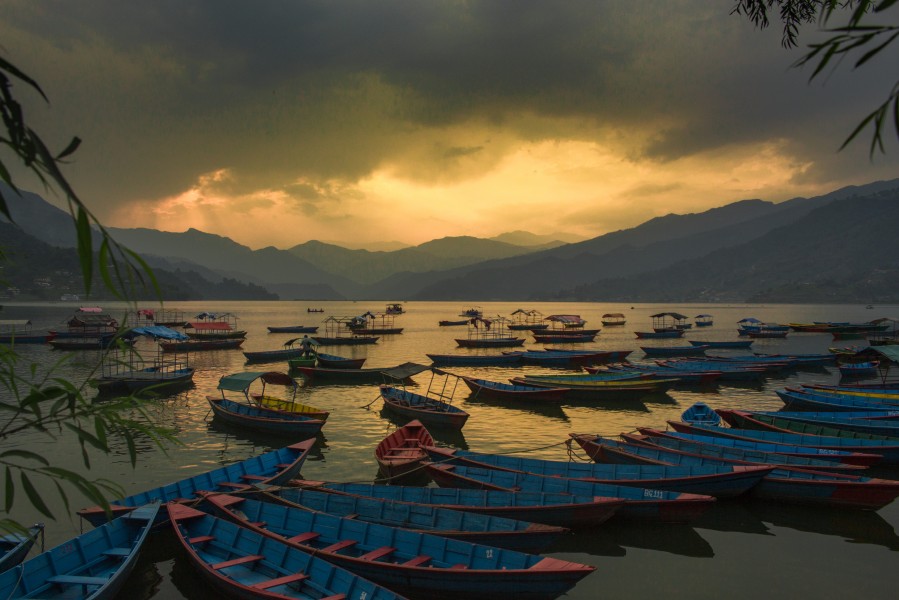 Fewa taal1