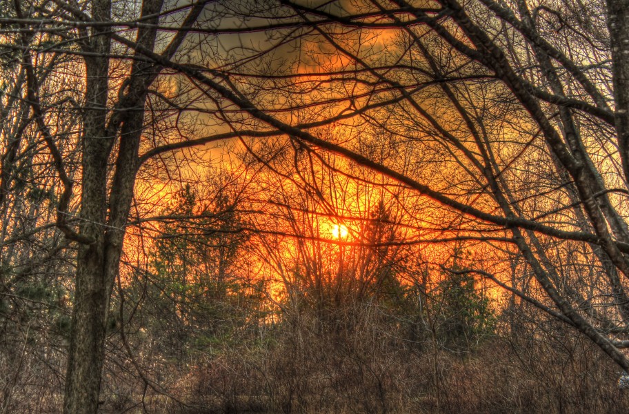 Gfp-wisconsin-yellowstone-lake-state-park-forest-sunset
