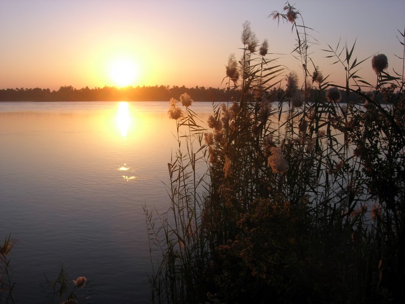 Leve de soleil Nil