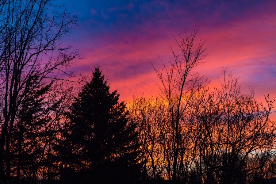 Minnesota Spring Sunset - Pink Sky (25740285645)