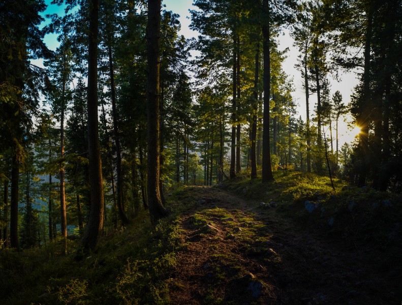 Miranjani Track