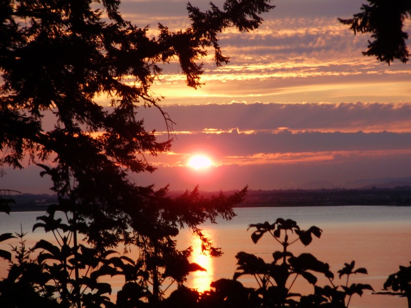 Pacific sunset