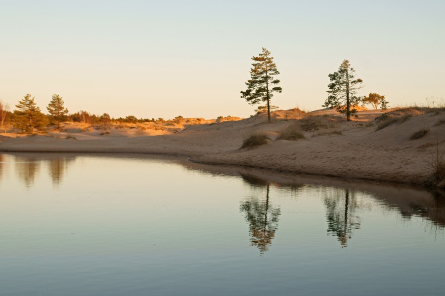 Pond in Yyteri 1