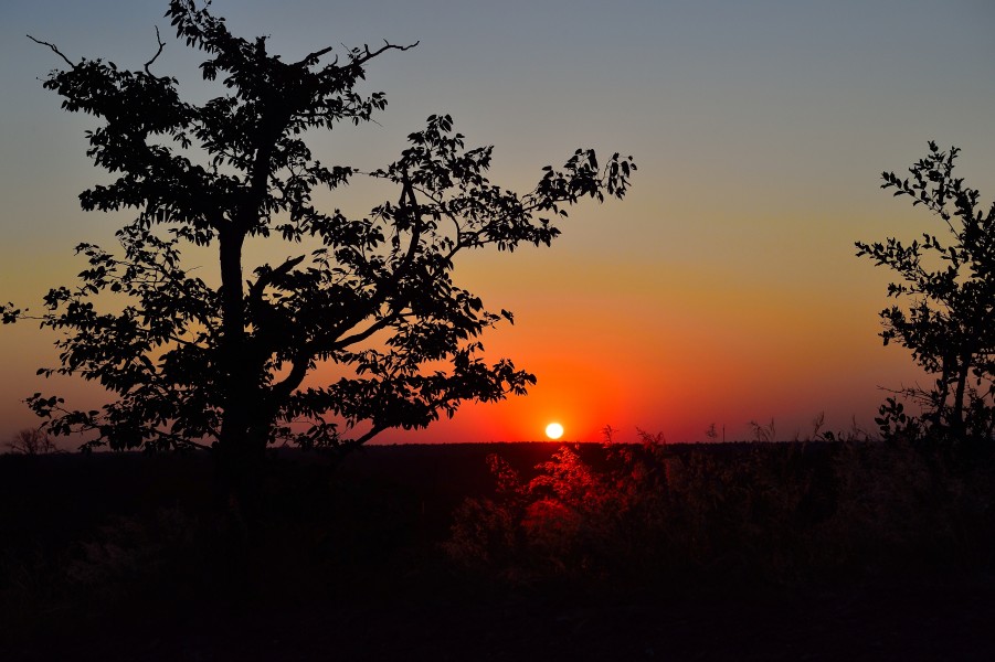 Sunset, Mapungubwe, Limpopo, South Africa (20550656381)