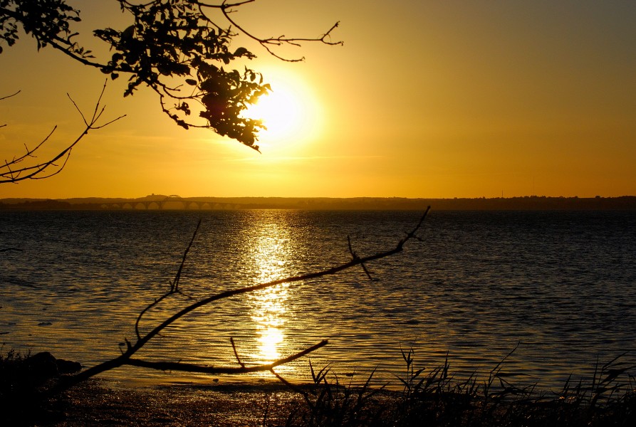 Sunset near Stege - panoramio