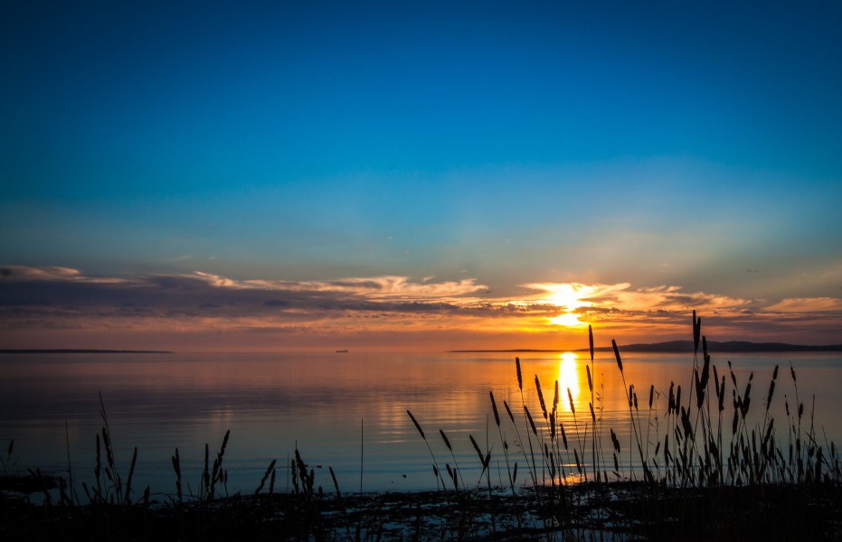 Sunset Reeds, North Shore Port Lincoln - South Australia