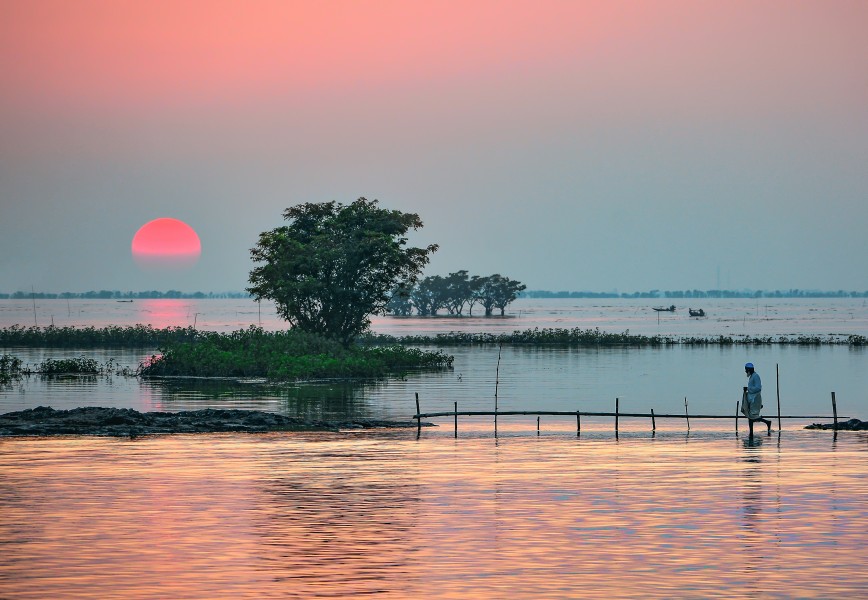 Tanguar Haor 2