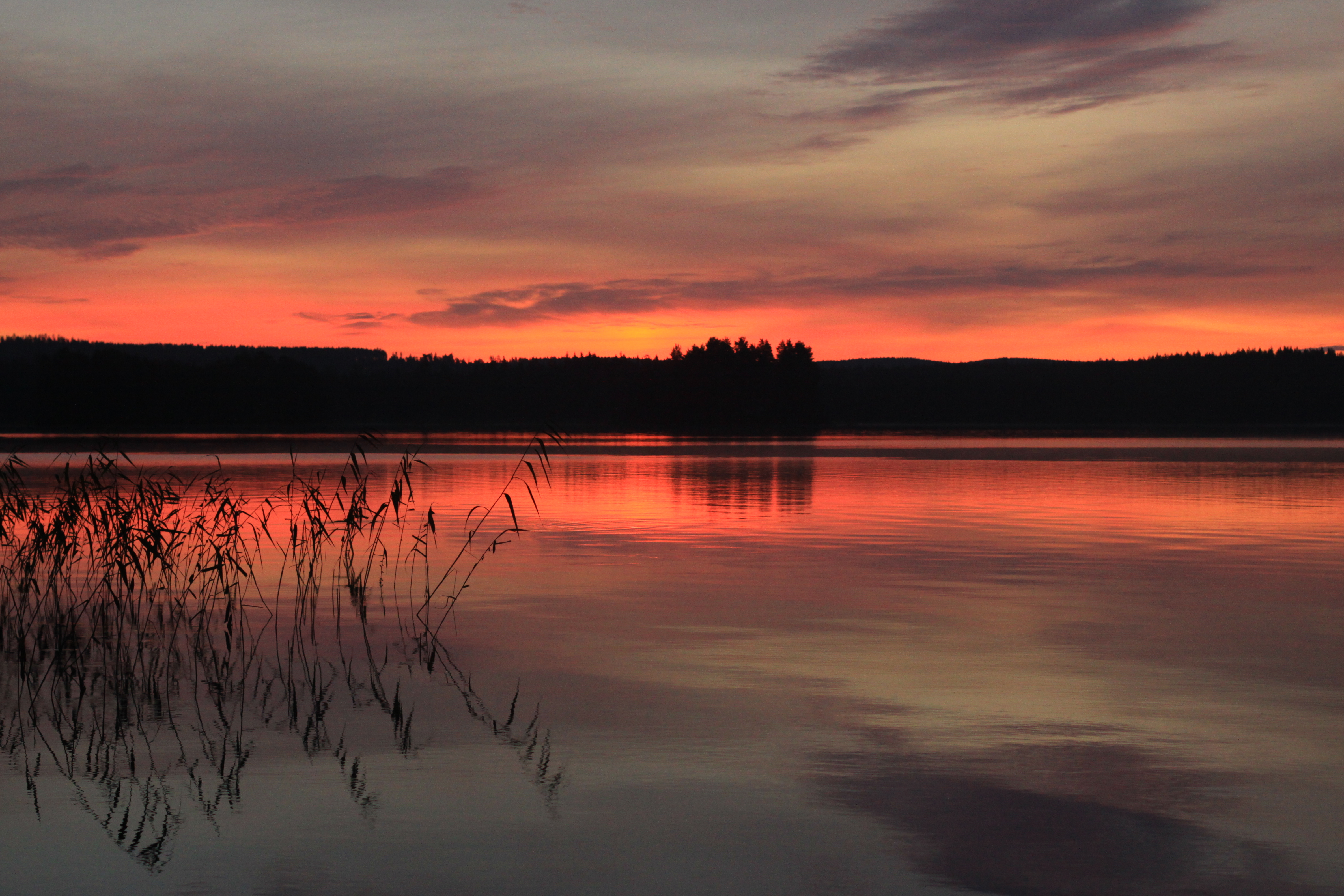 Solnedgång - panoramio