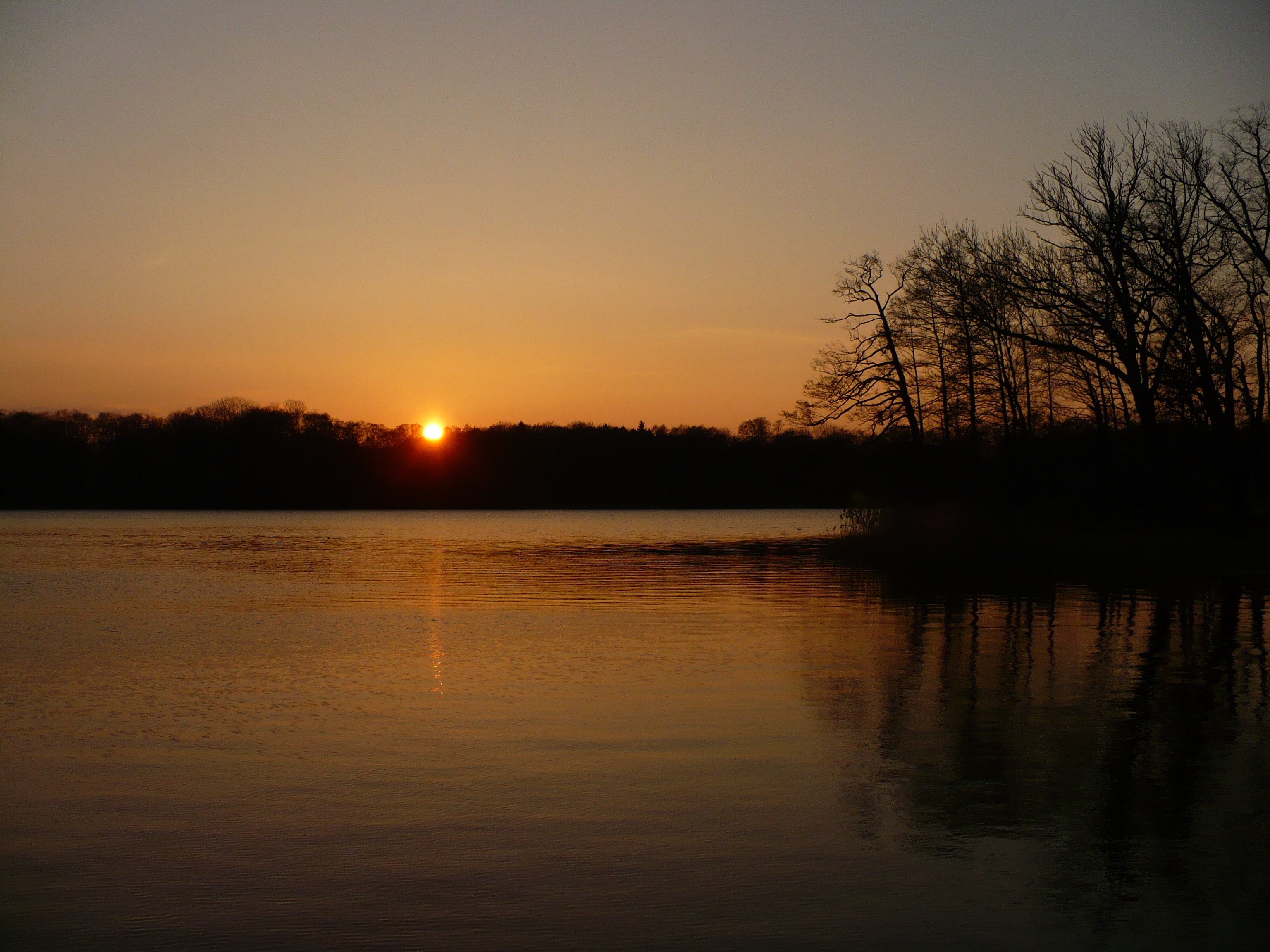 Sonnenunterganggnewikow02