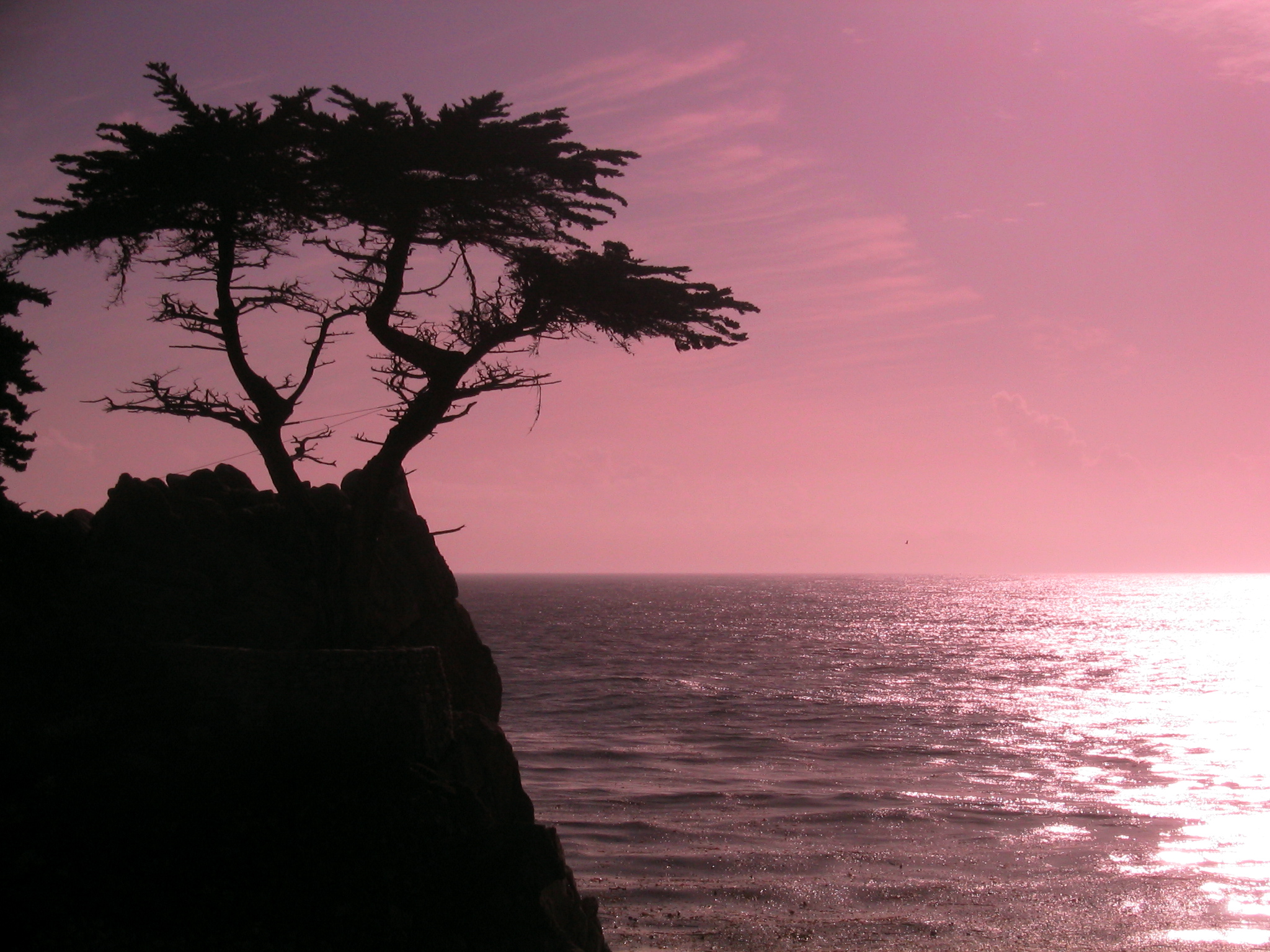 Sunset at cyprus point on pebble beach