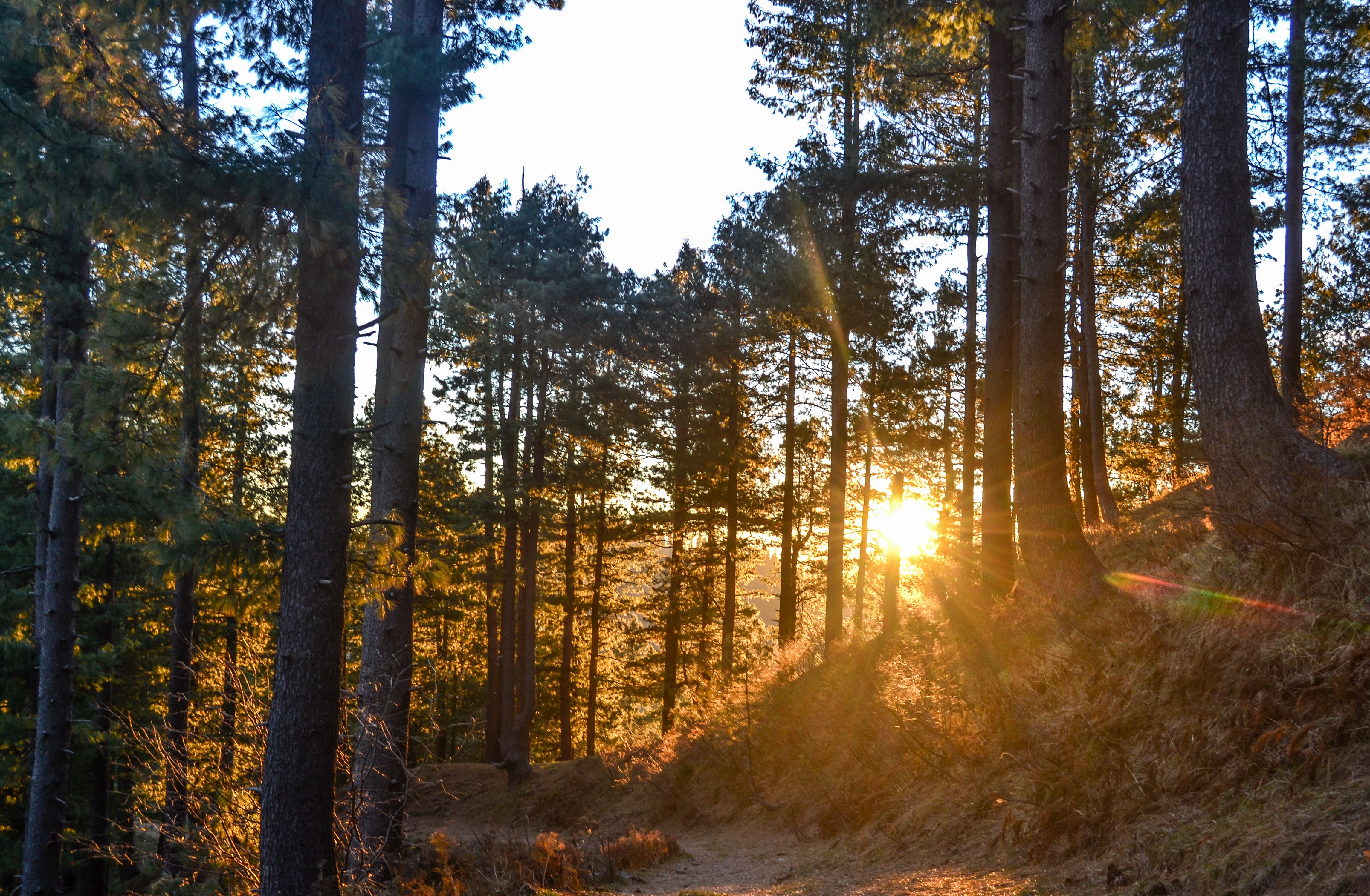 Sunset at Miranjani (Miranjani, Nathiagali)