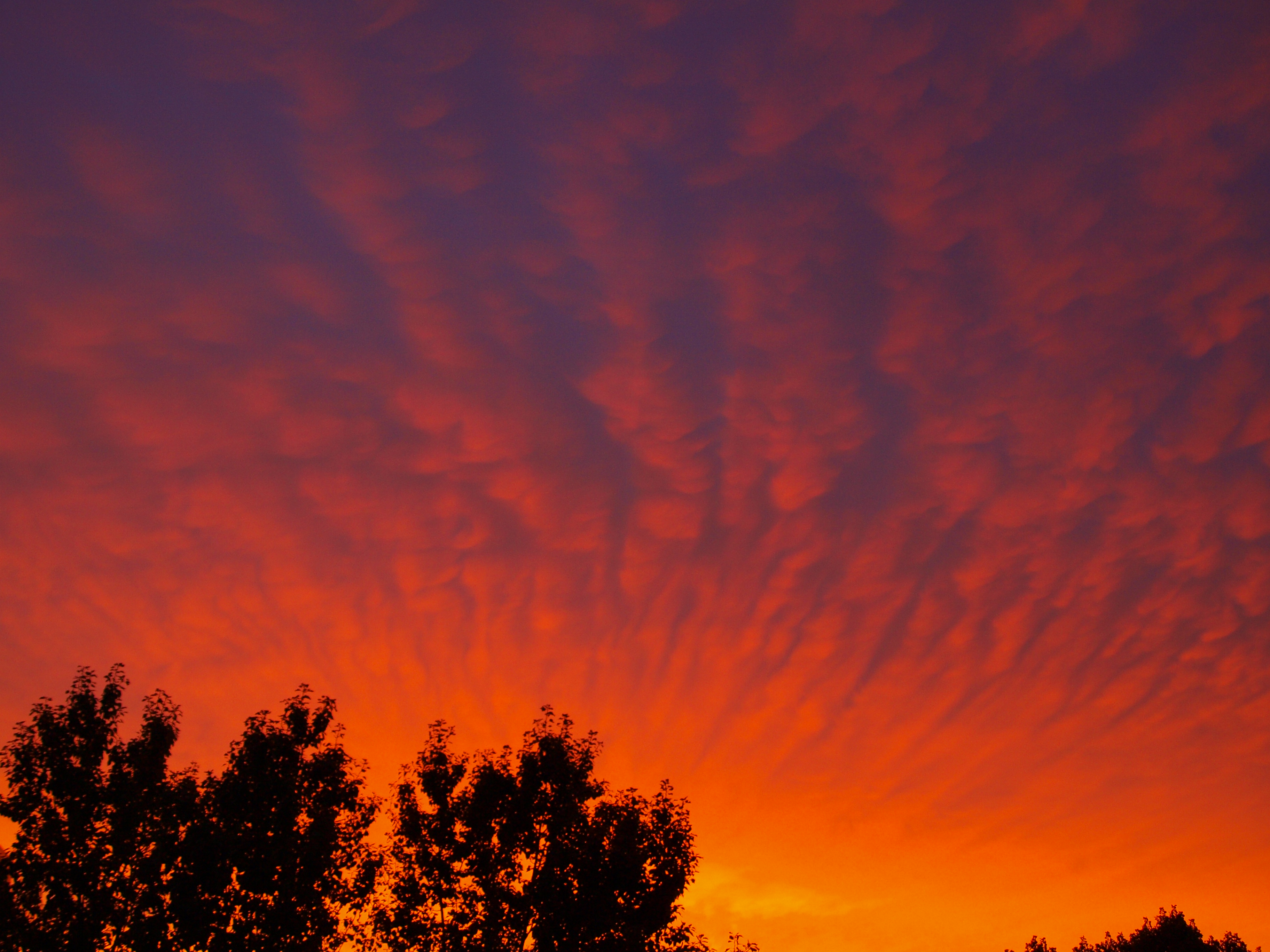 Sunset Berlin 6