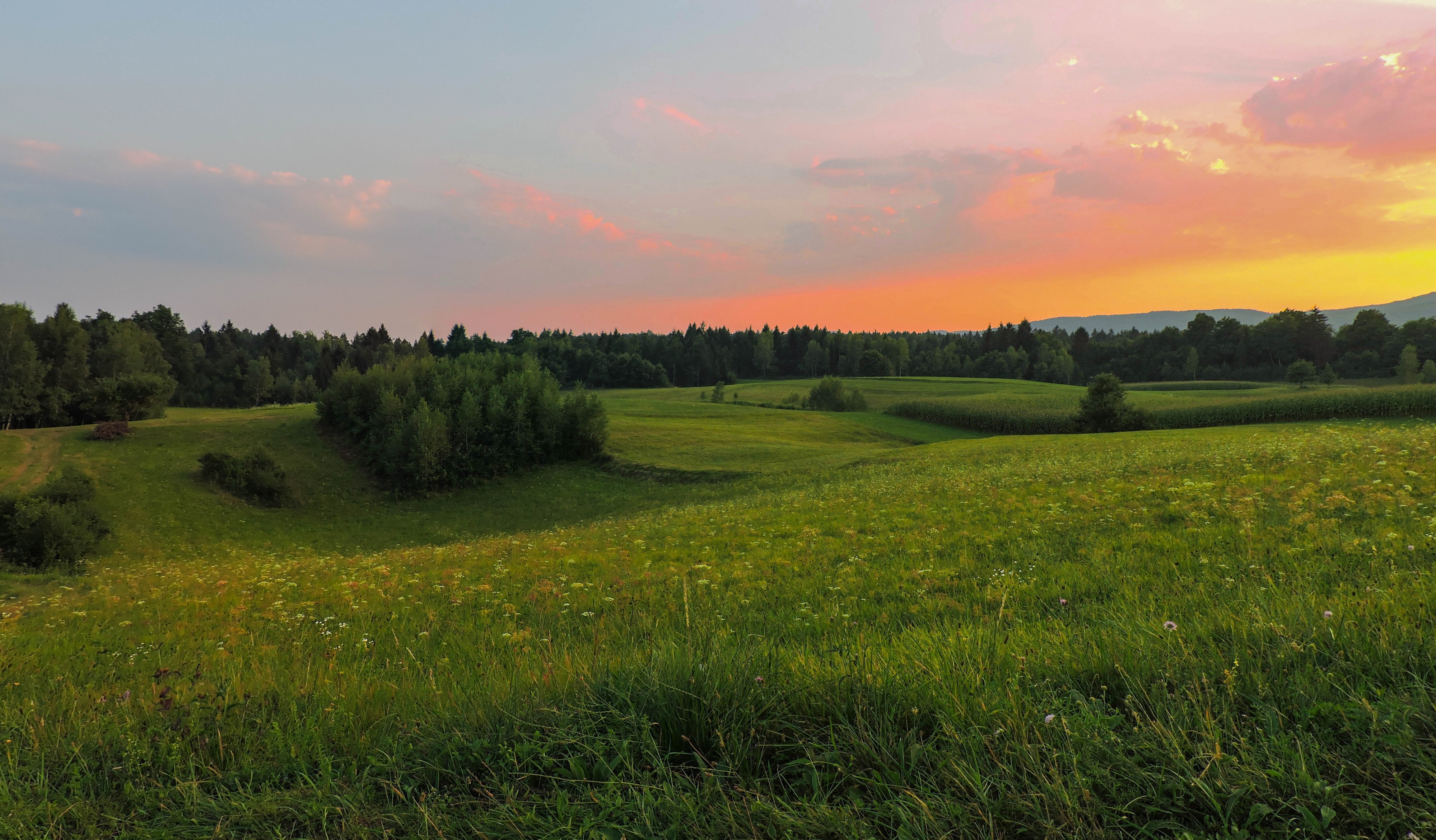 A warm autumn evening (22961468119)