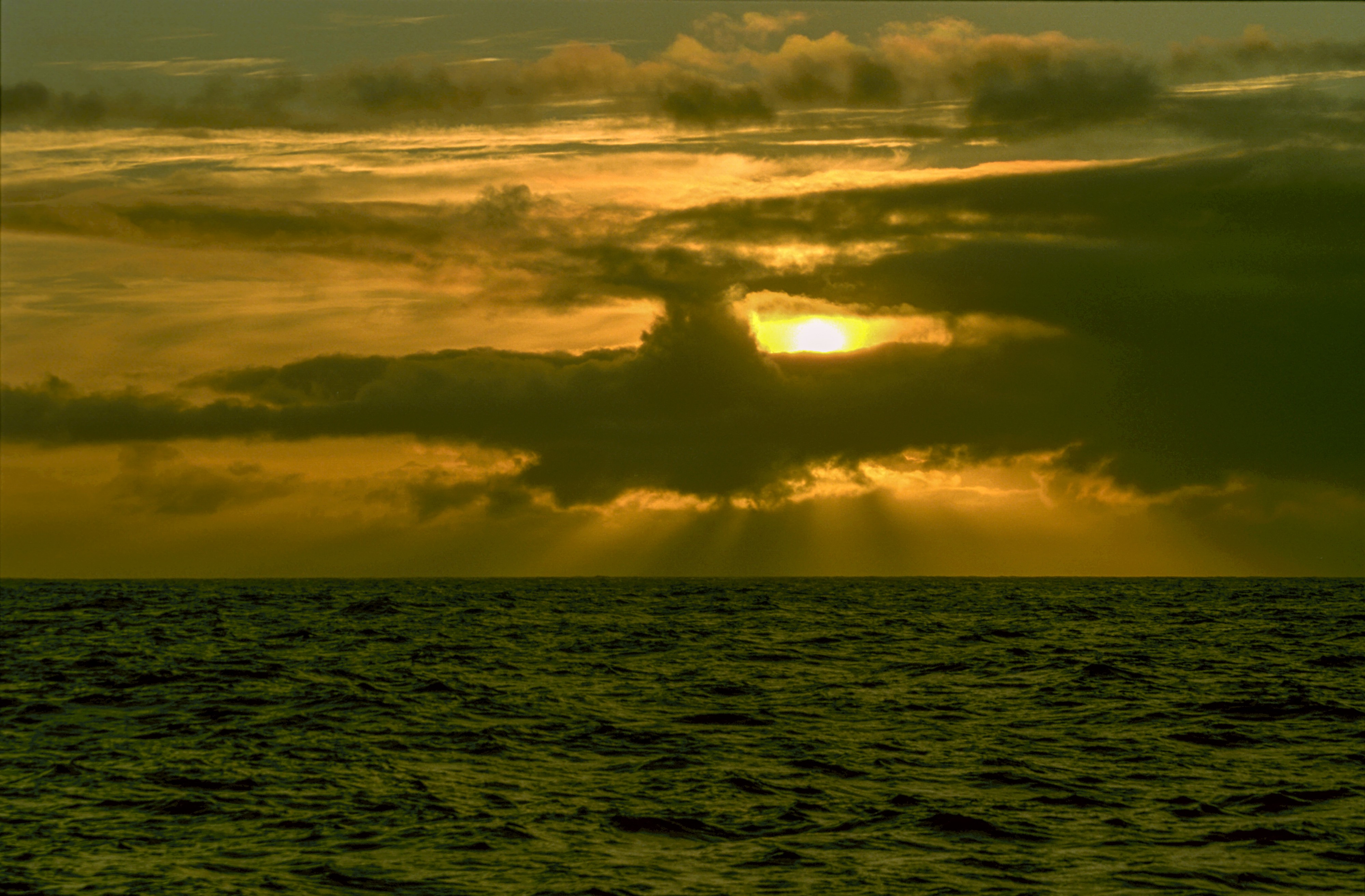 Antarctica(js) 4