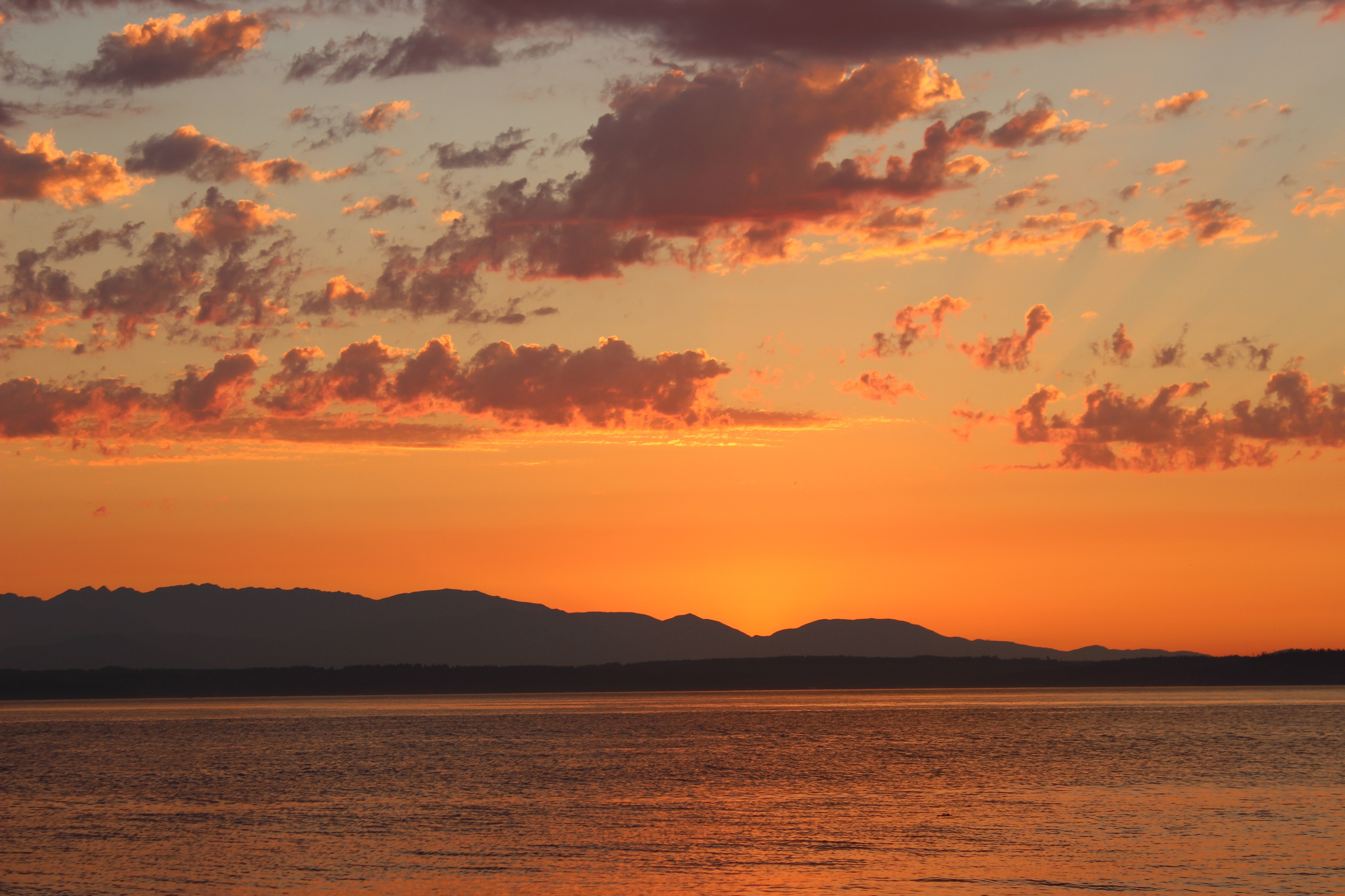 Atardecer Golden Gardens Park 03