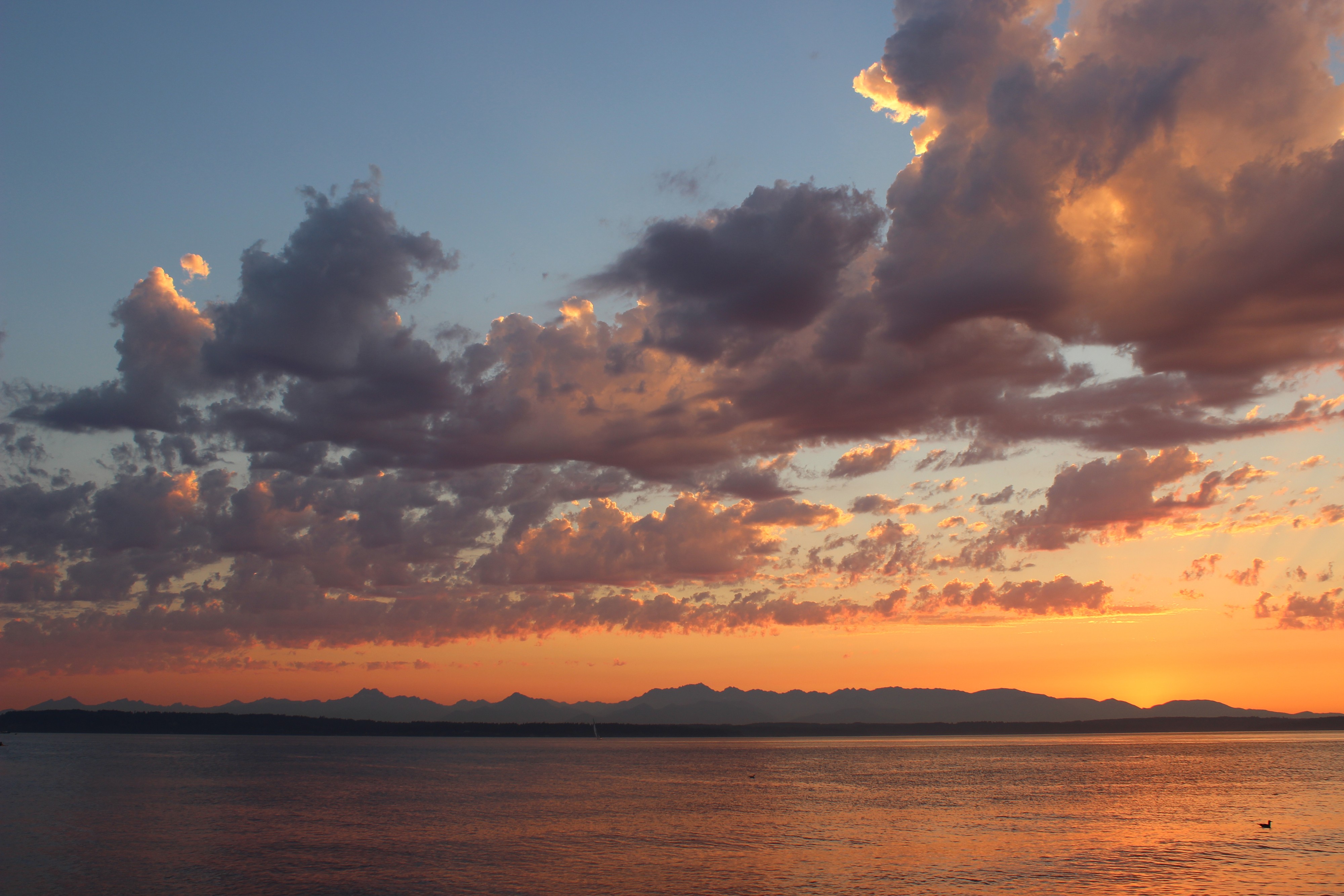 Atardecer Seattle 2014 47