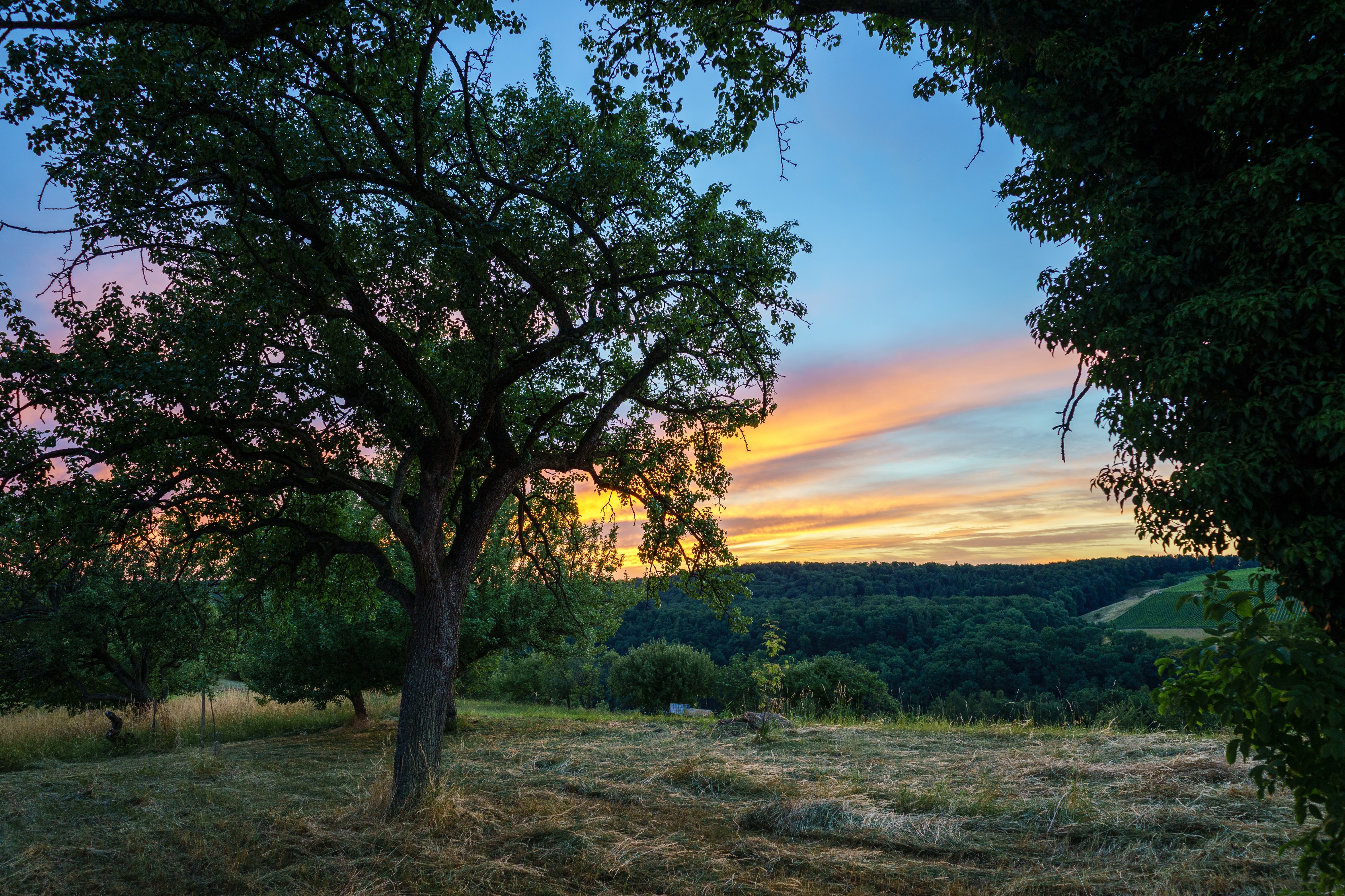 Beilstein - Billensbach - Streuobstwiese nach Sonnenuntergang