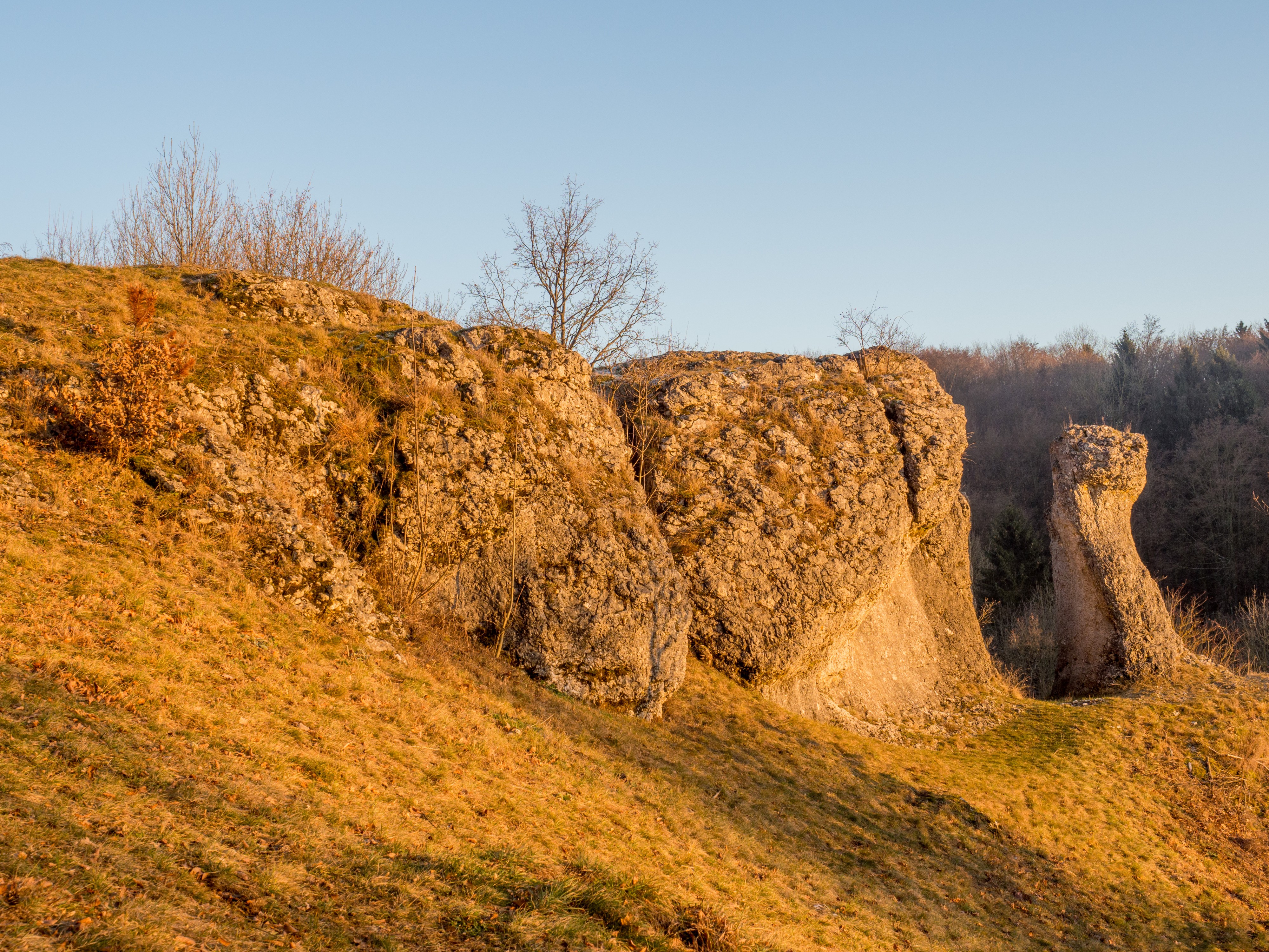 Ellerberg-Eulenfelsen-PC310296