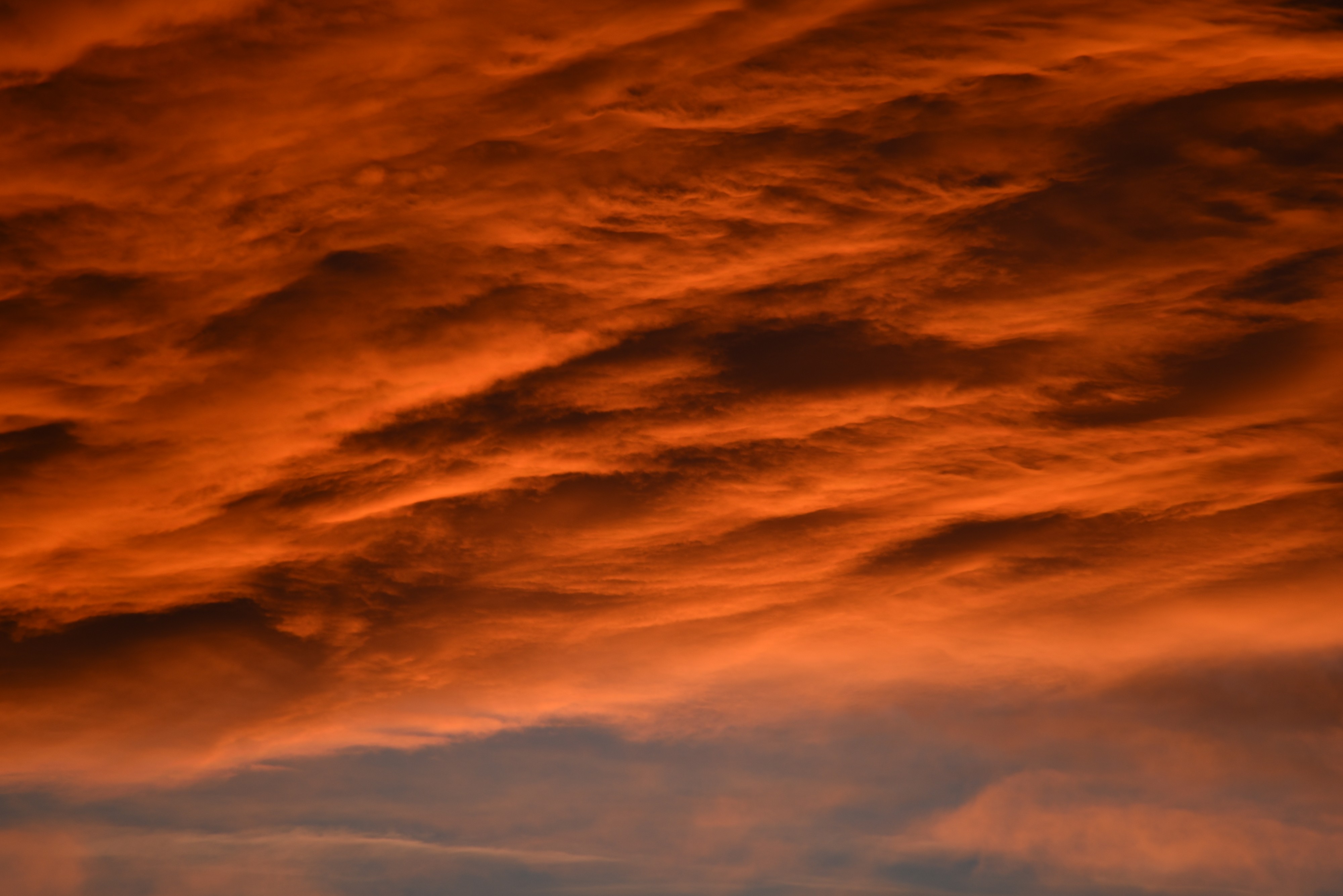 Red cloud cover 1