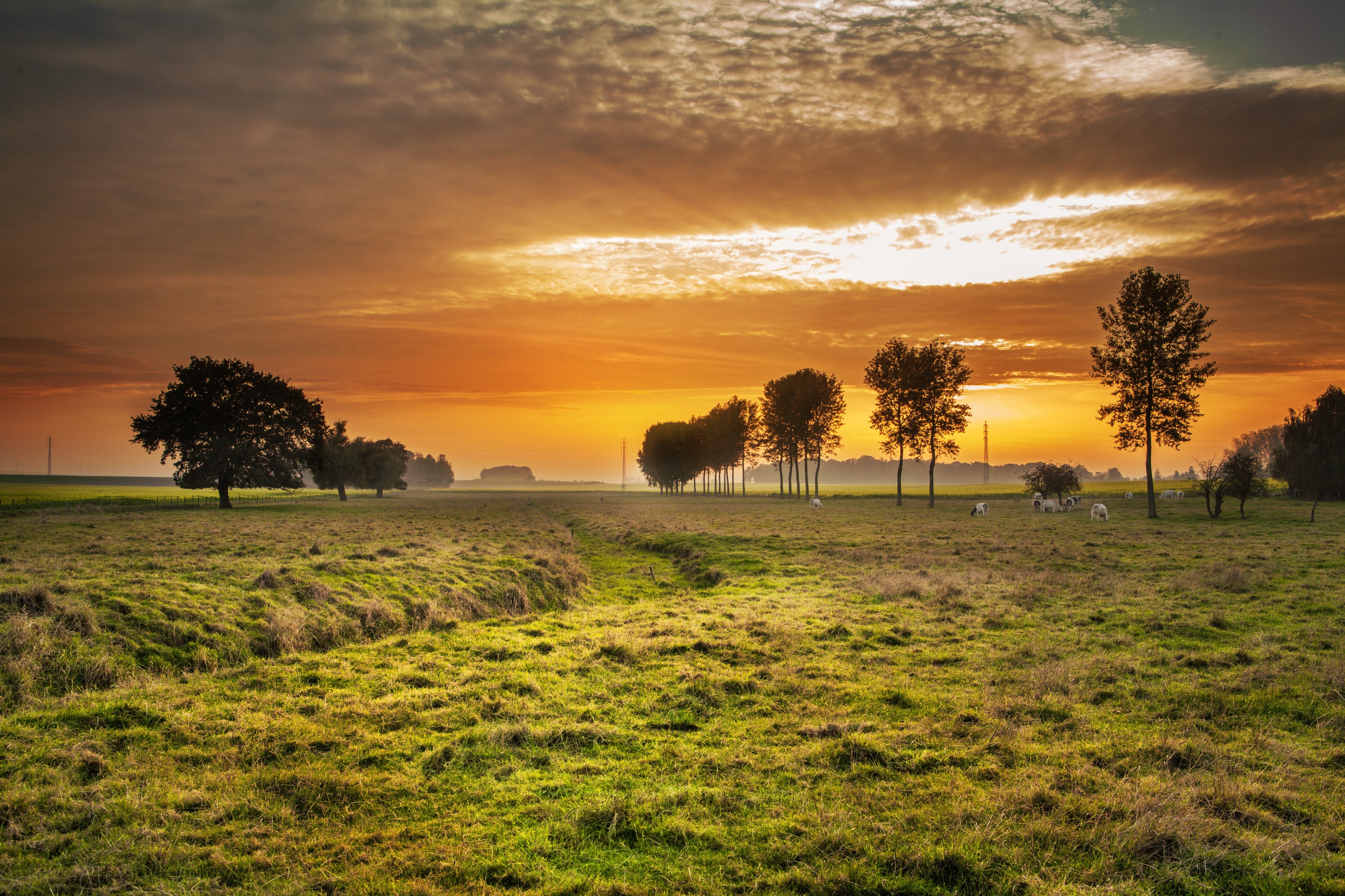 sunset at pasture creek by Kenneth Thewissen