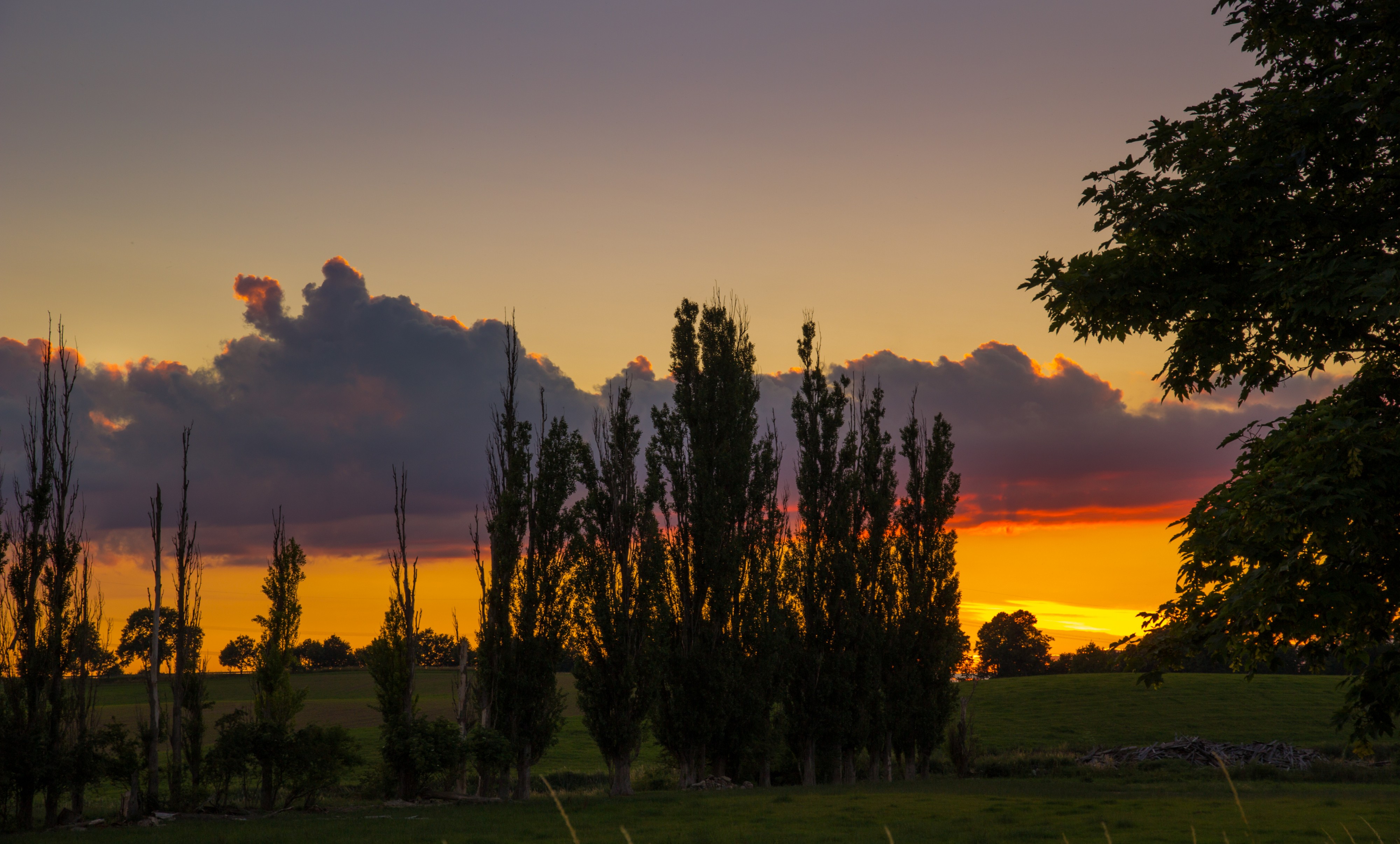 Sunset sky (14513994894)
