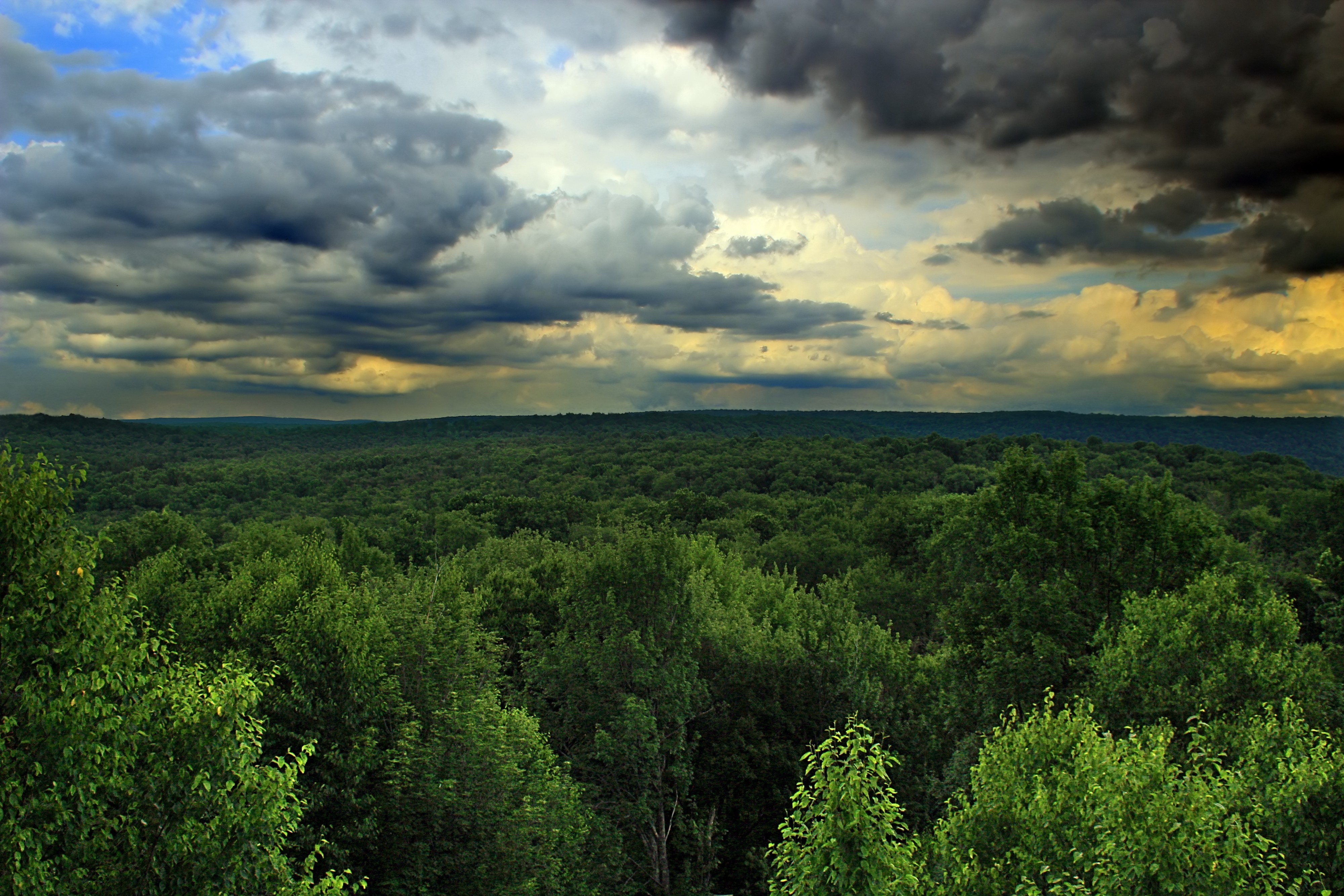 Vista (1) (9353800537)