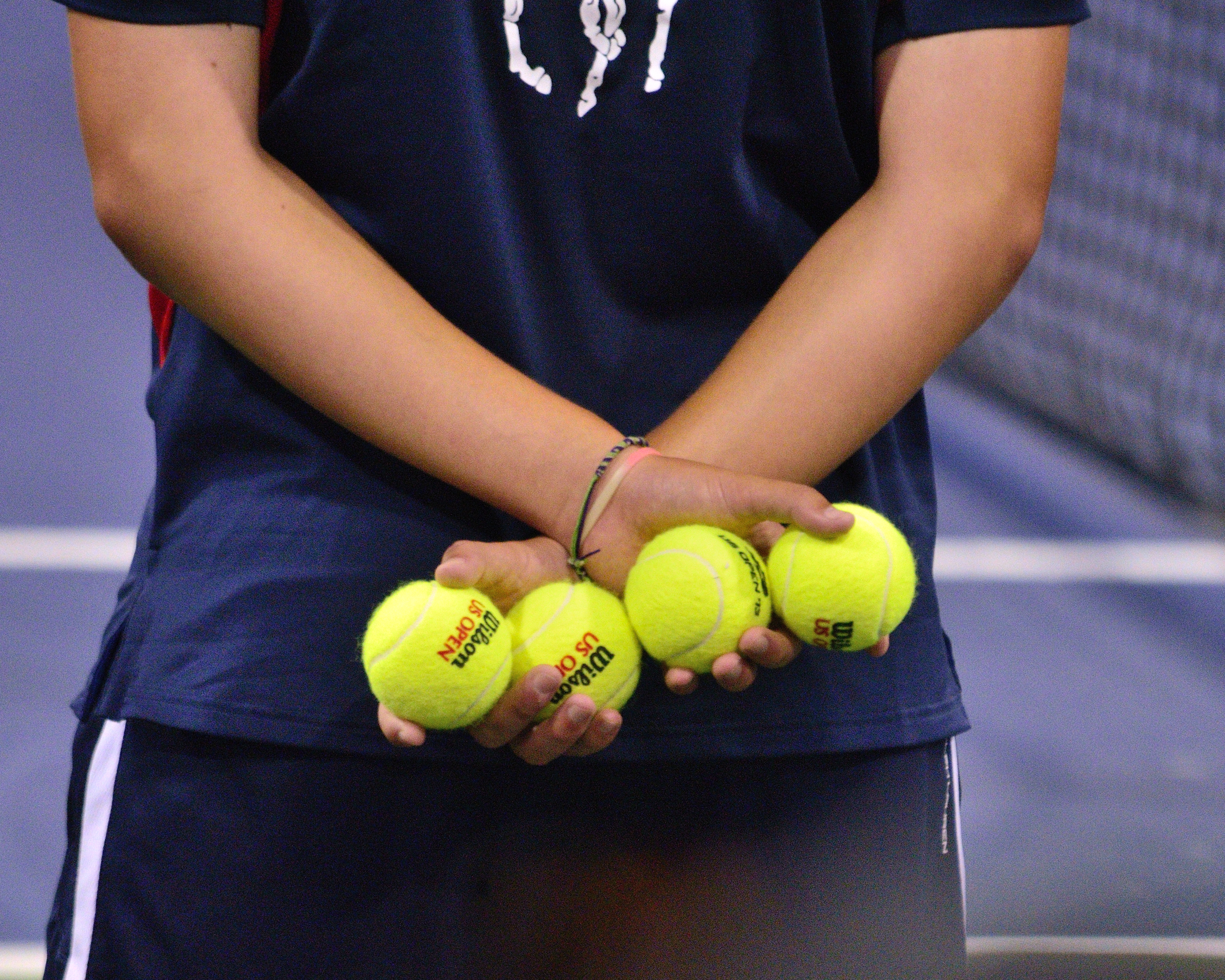 2013 US Open (Tennis) (9646891265)