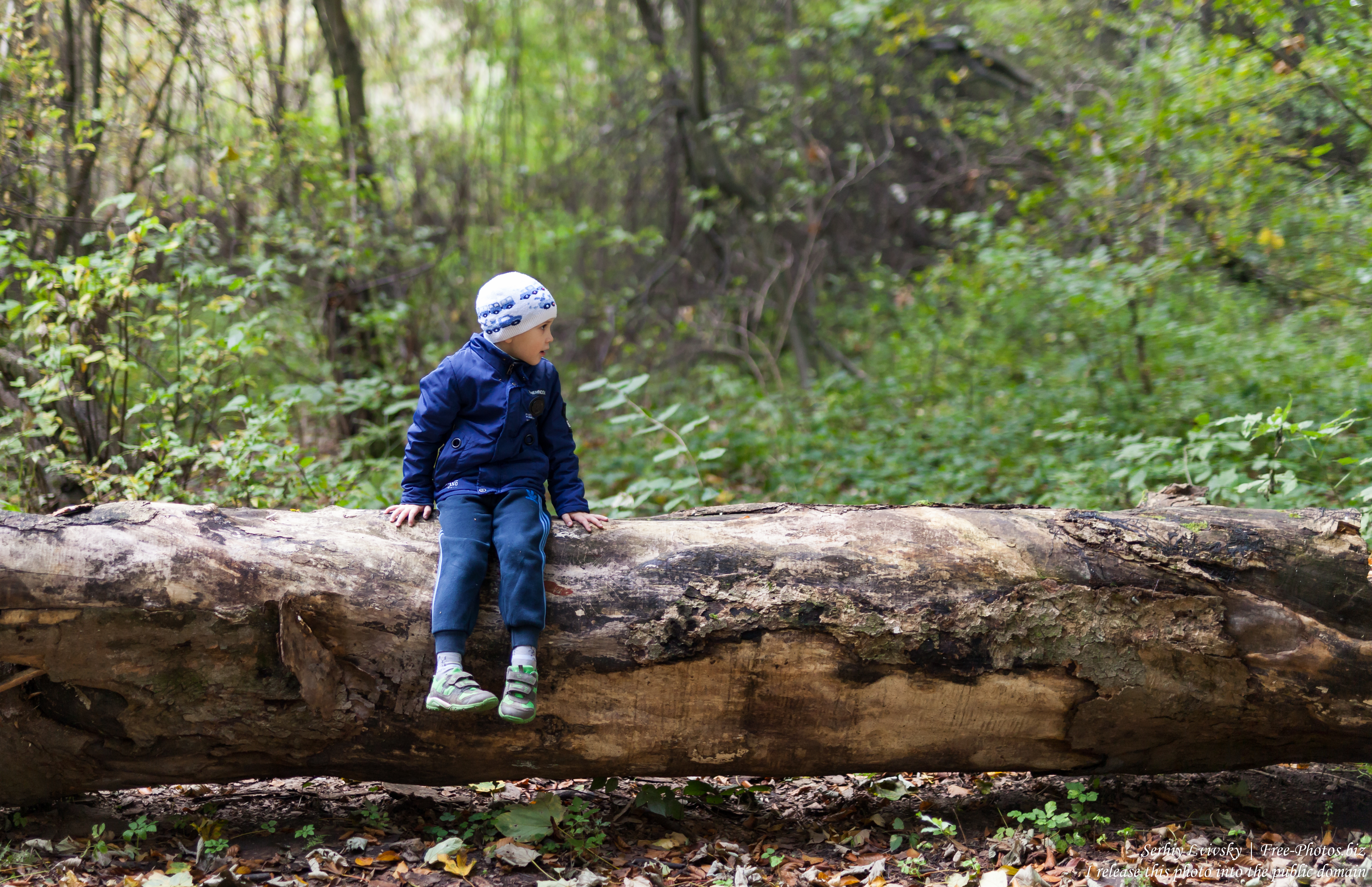 a 5-year-old boy photographed by Serhiy Lvivsky in October 2018 using a Sigma 50mm F1.4 DG HSM Art lens, picture 2