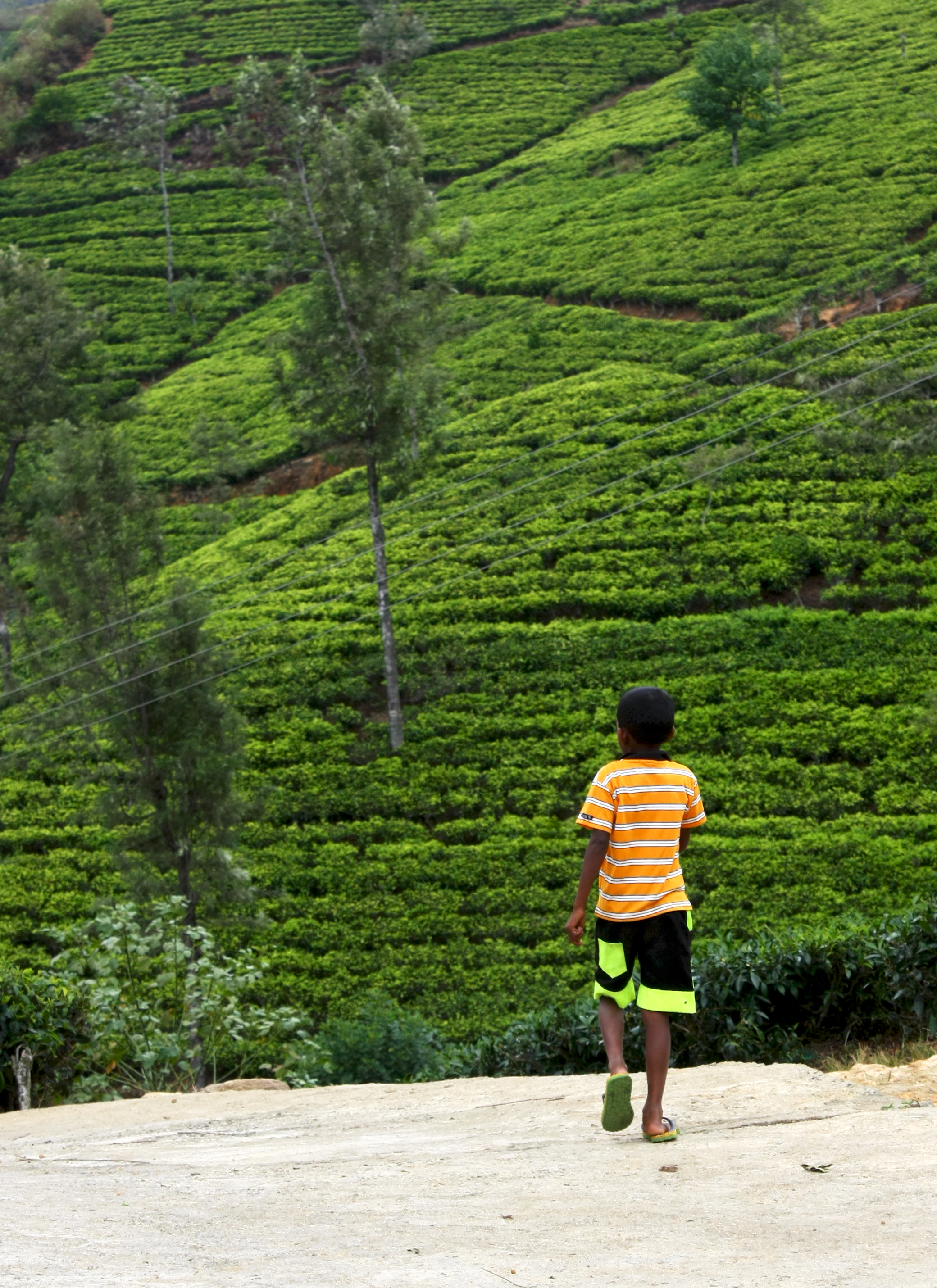 A boy from Sri Lanka (Rule of thirds)