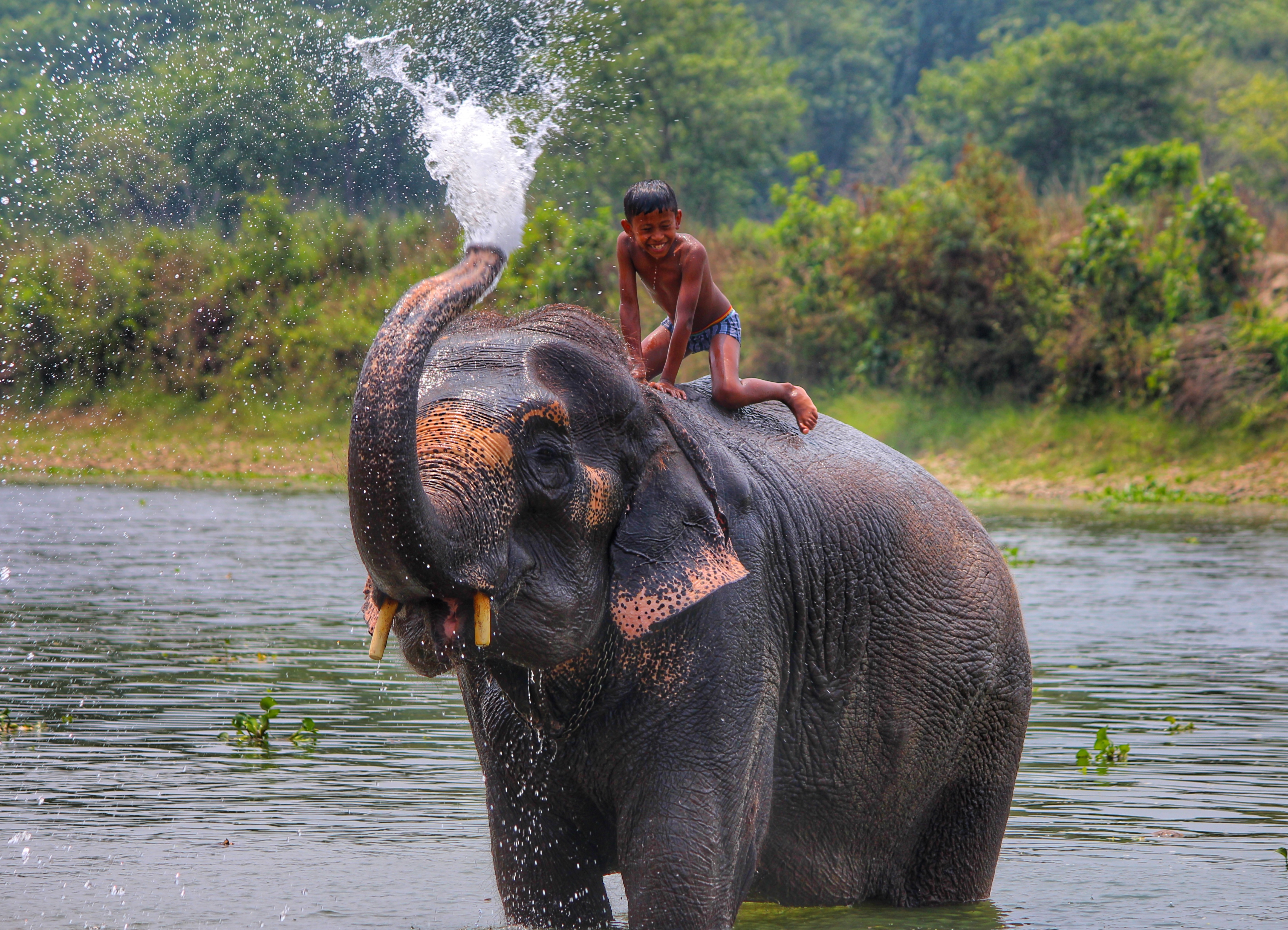 Chitwan national Park
