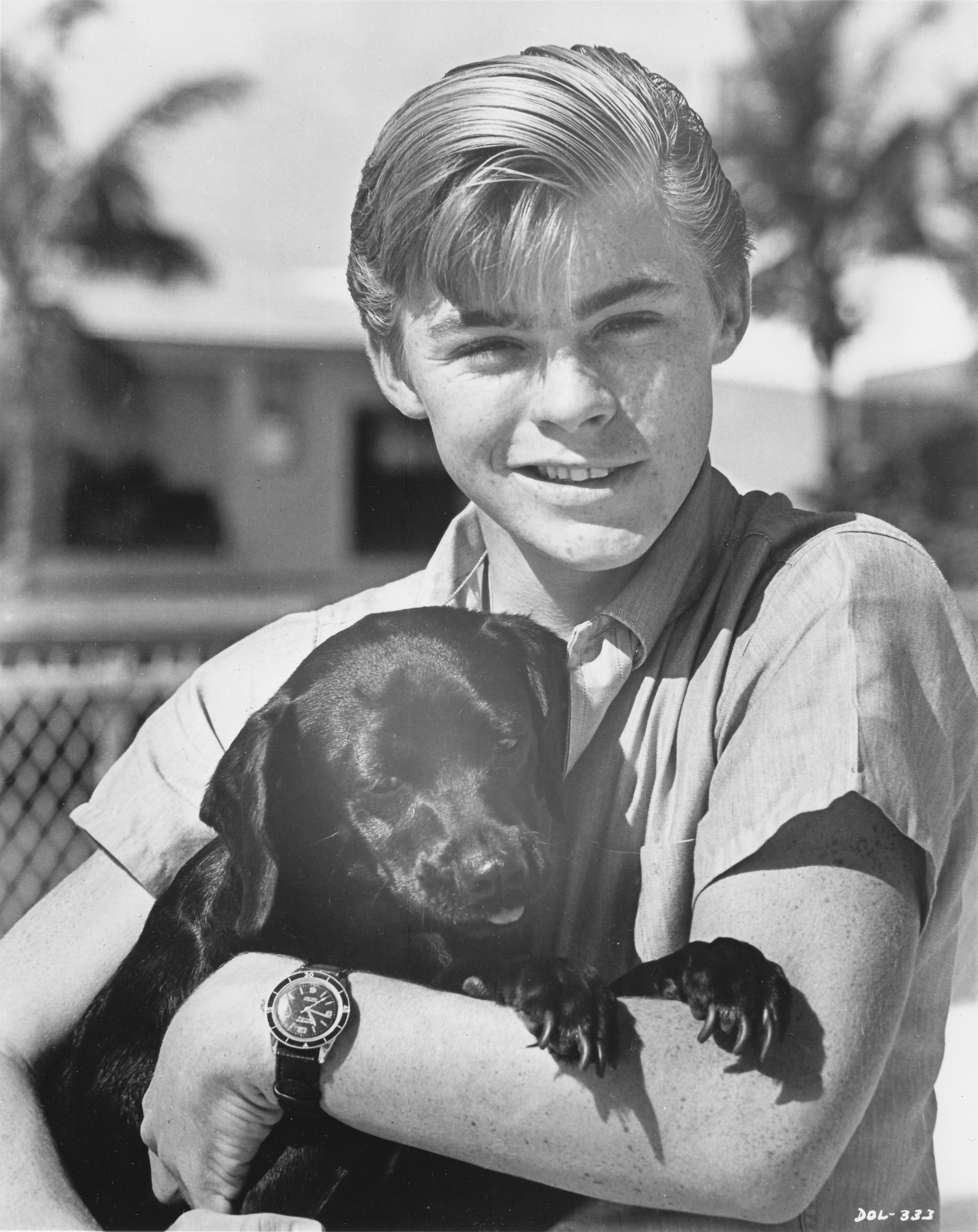 Flipper Luke Halpin 1965